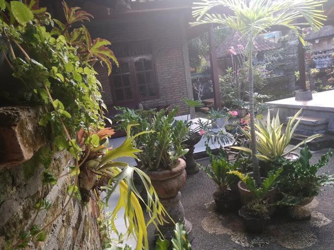 other