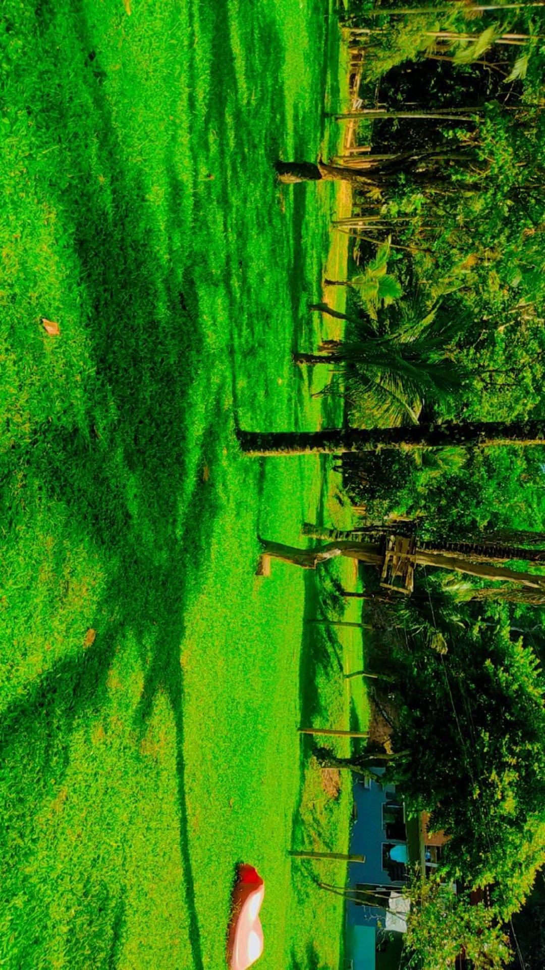 other