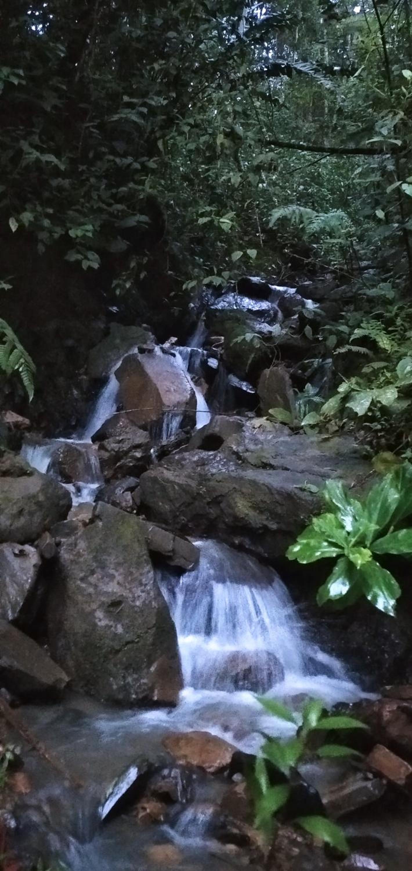 Cabaña en el Campo