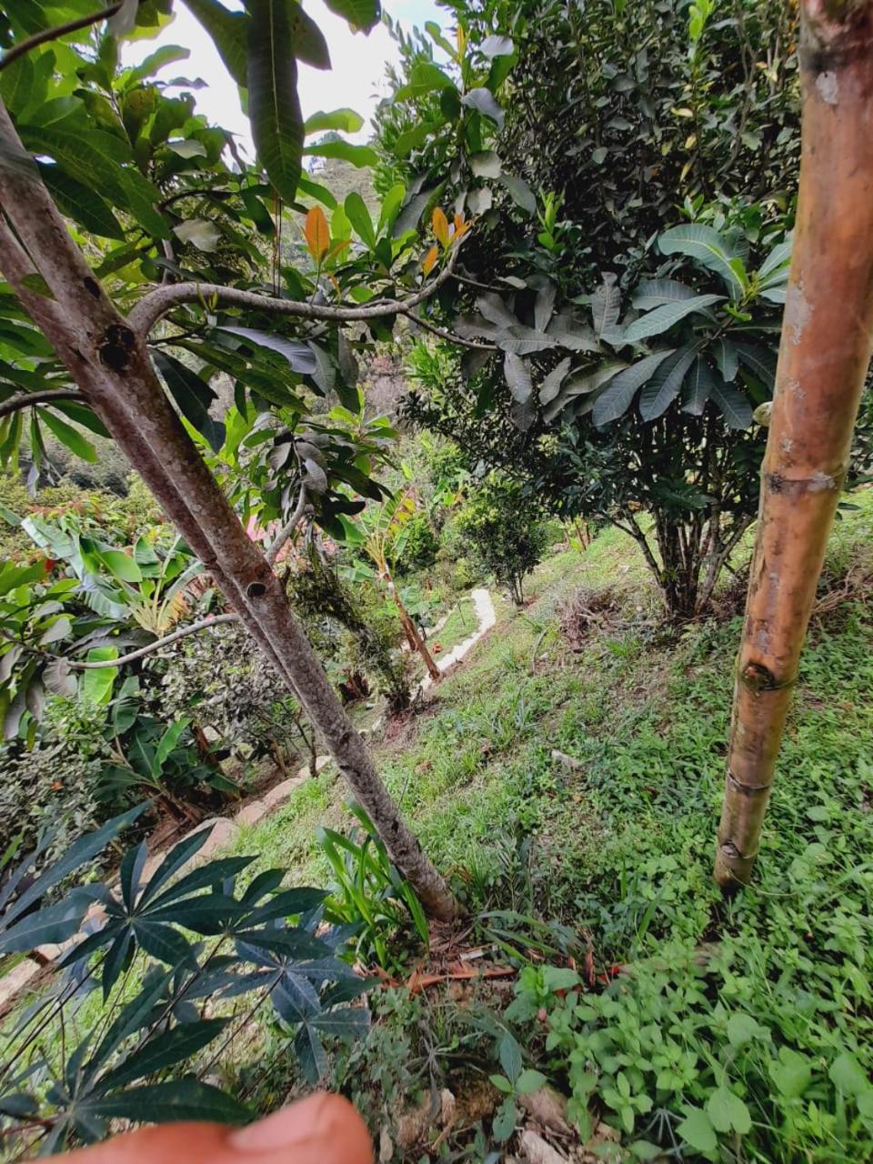 Cabaña en el Campo