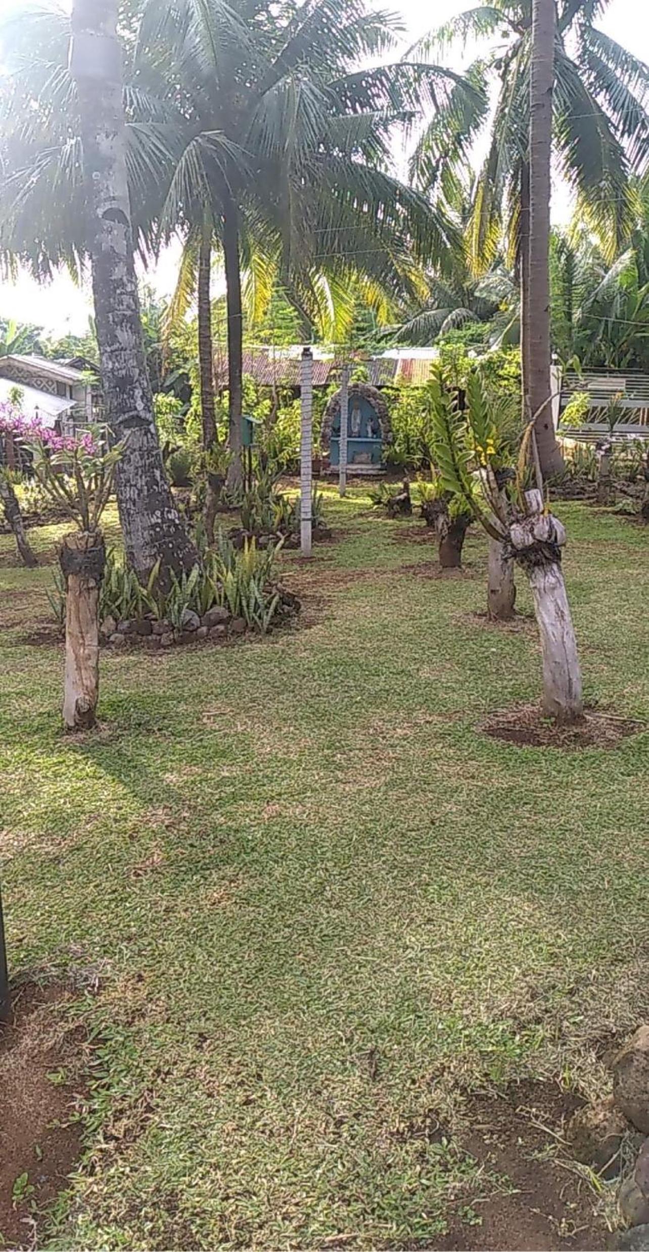 Taylors Plantacion Resort- The Second Floor