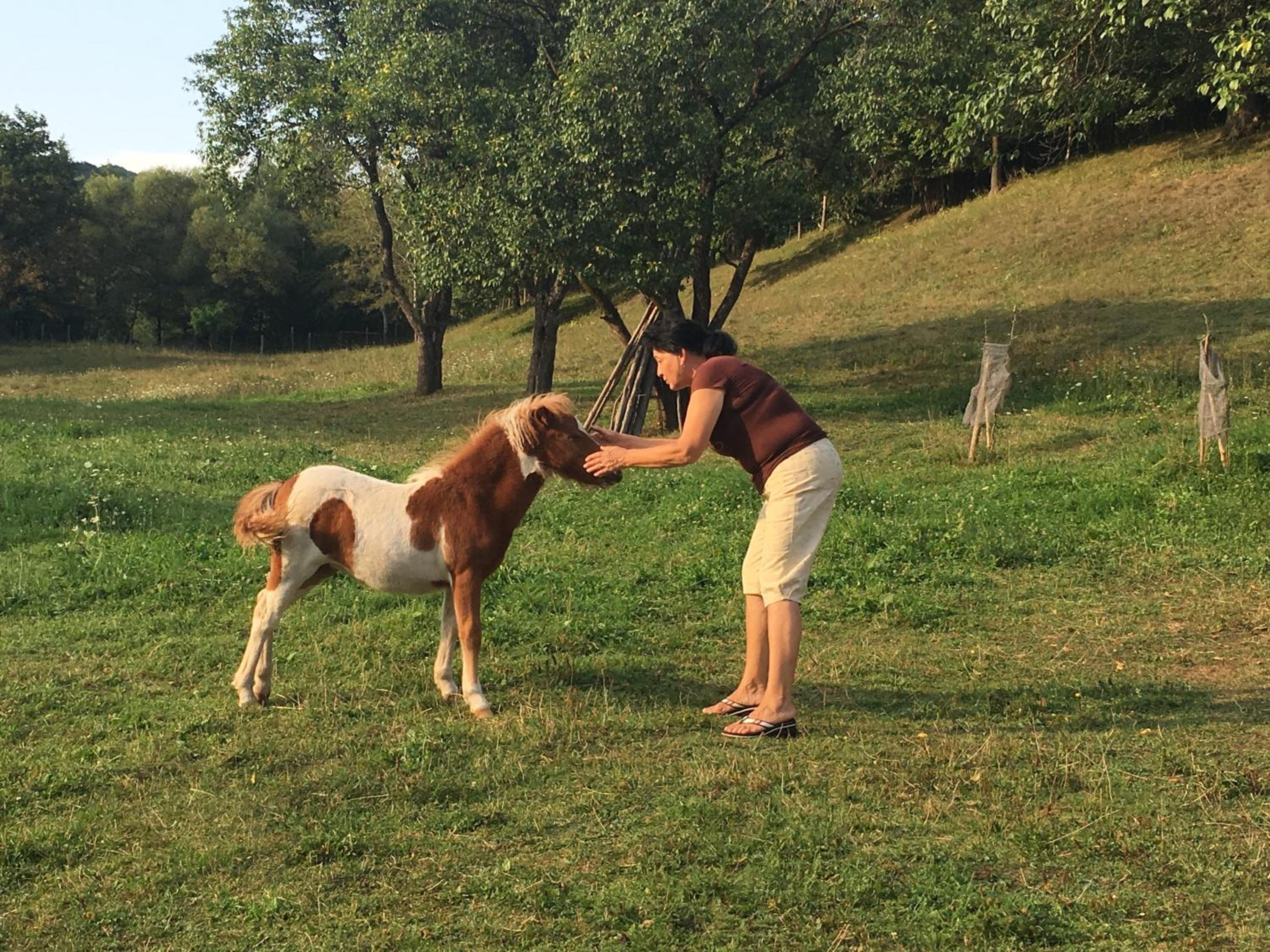 Photo 107
