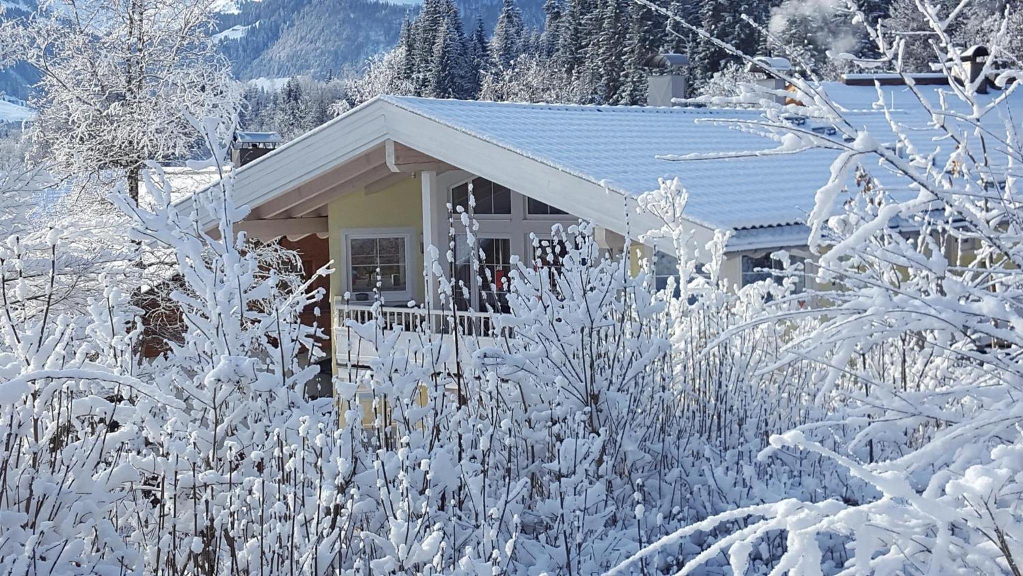 Buchensteinblick