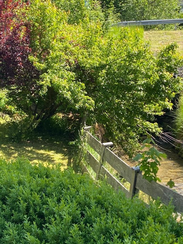 Buchensteinblick