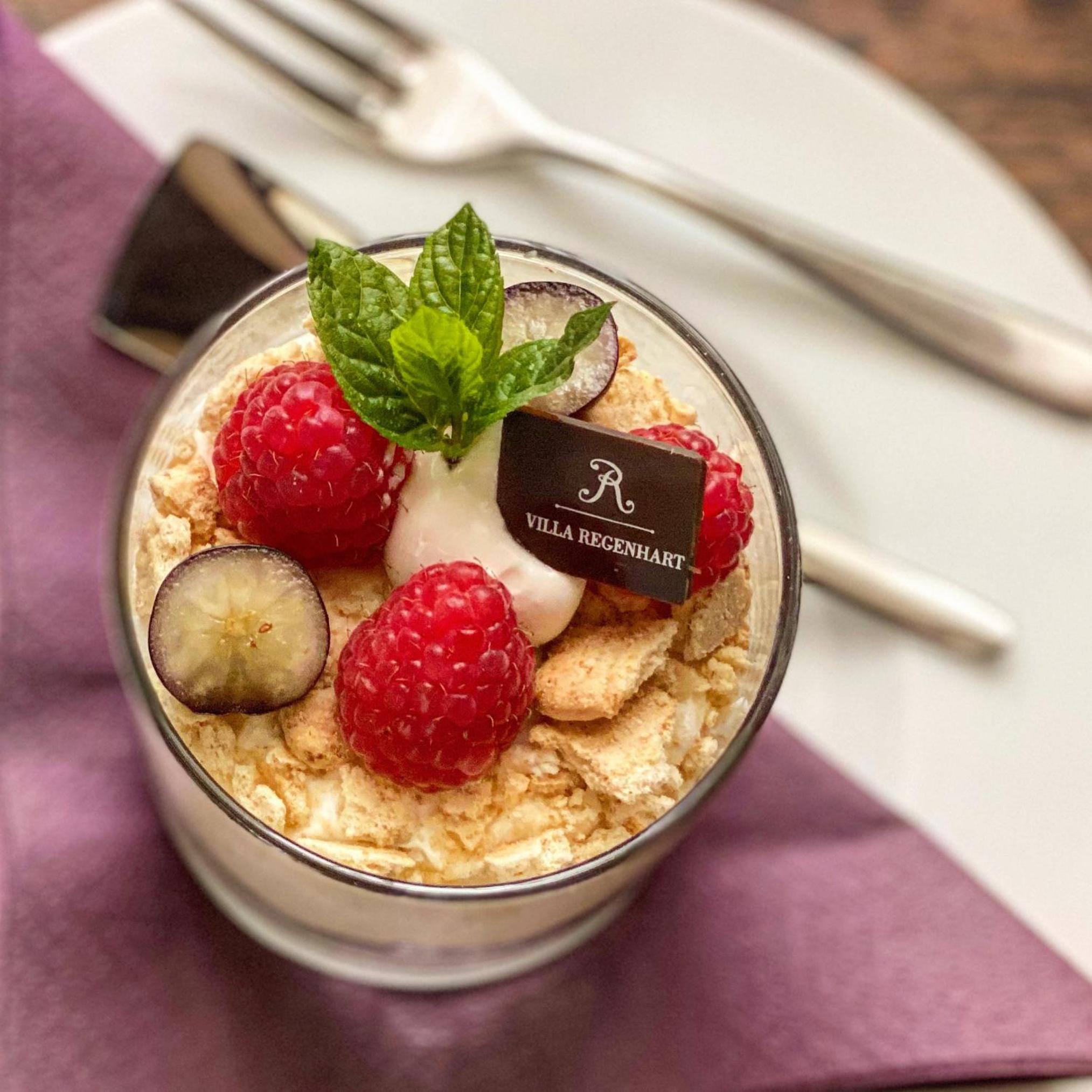 Wellness & Spa hotel Villa Regenhart