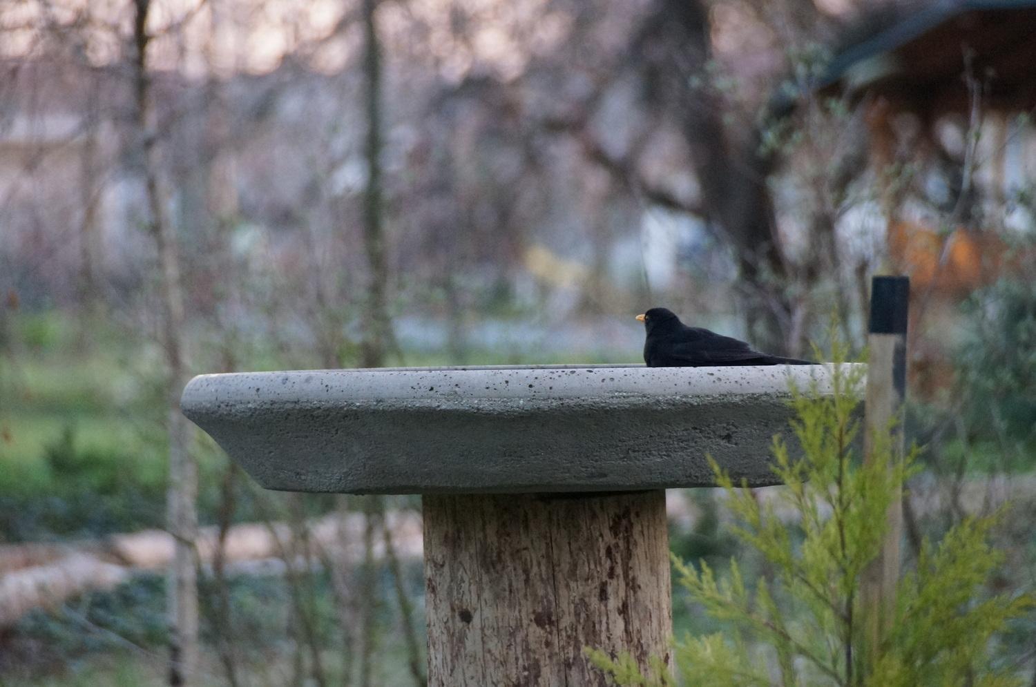 Photo 46