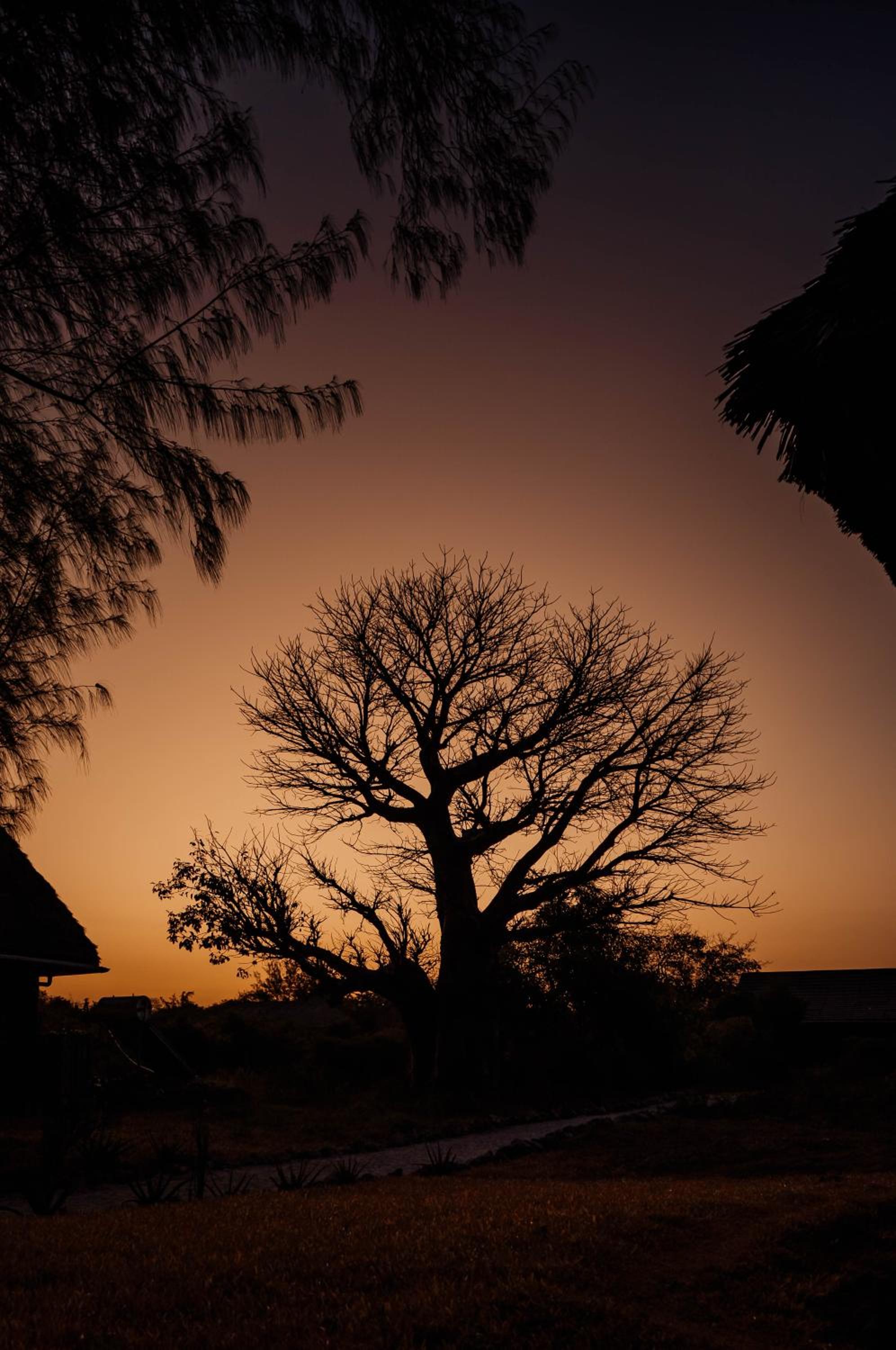 Pemba Eco Lodge