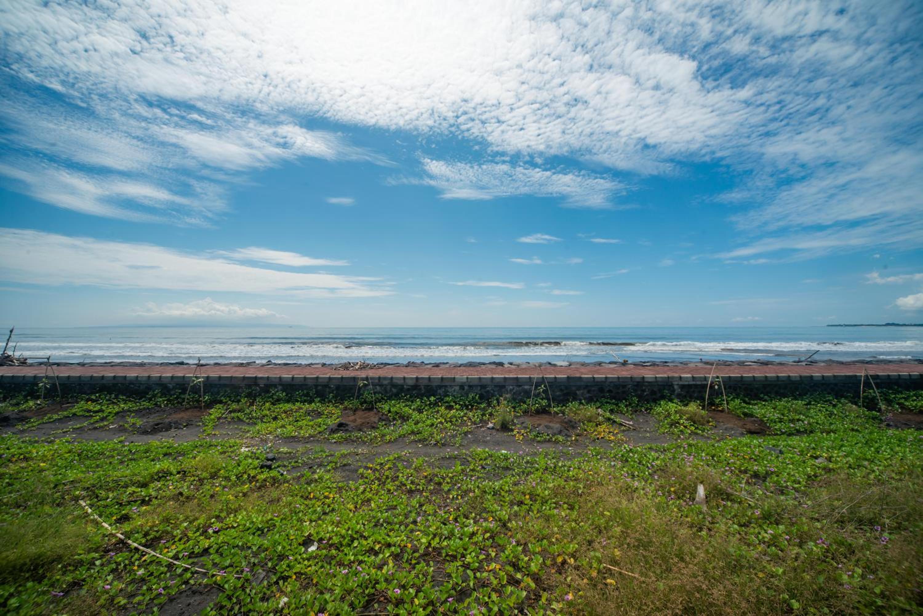 Suzuki Villa Ketewel Beachfront