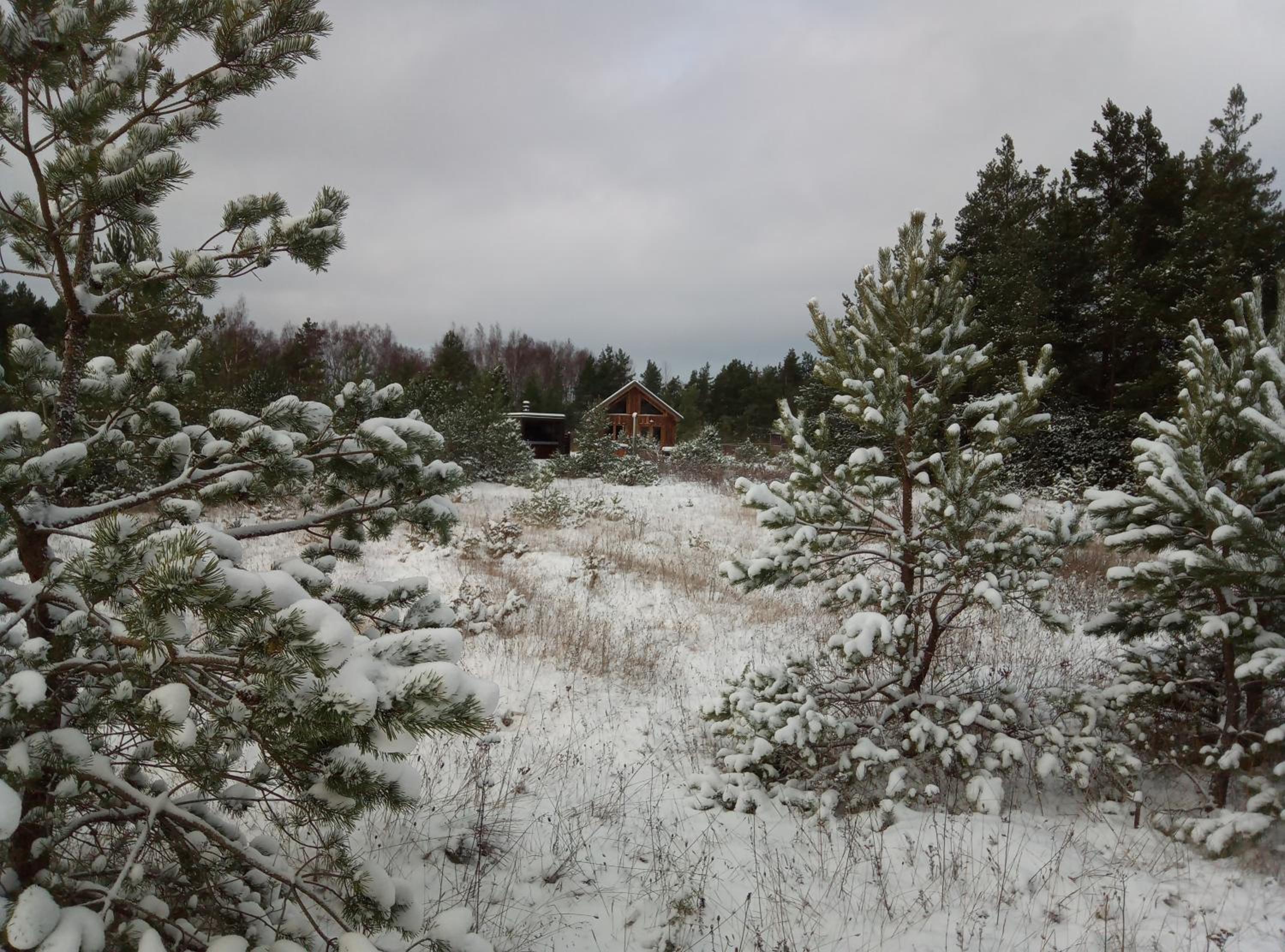 Photo 42