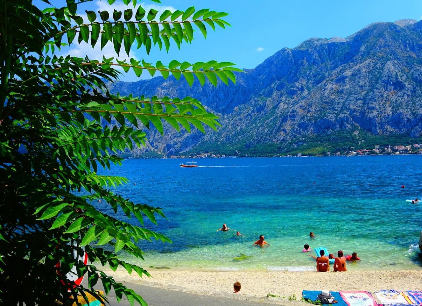 Bay of Kotor View Apartment with pool view 2