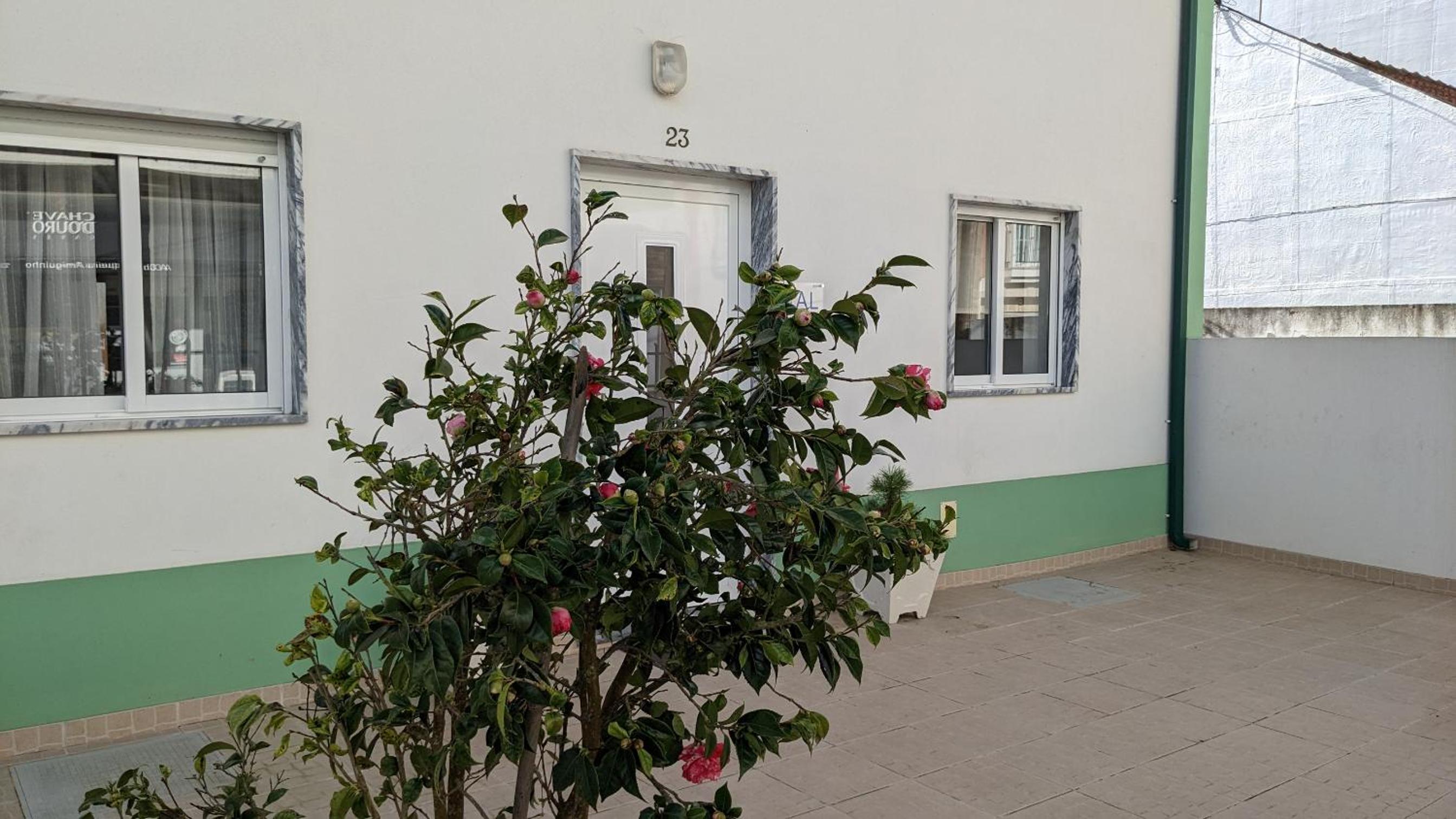 Casa Domingues Guest House view 3
