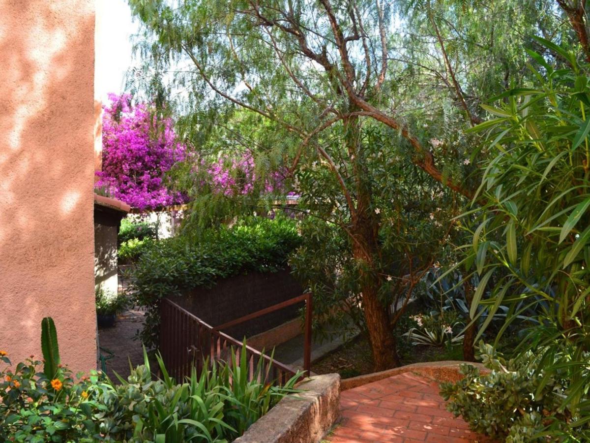 Appartement Banyuls-sur-Mer, 1 piece, 4 personnes - FR-1-225C-260 - Property Image 12
