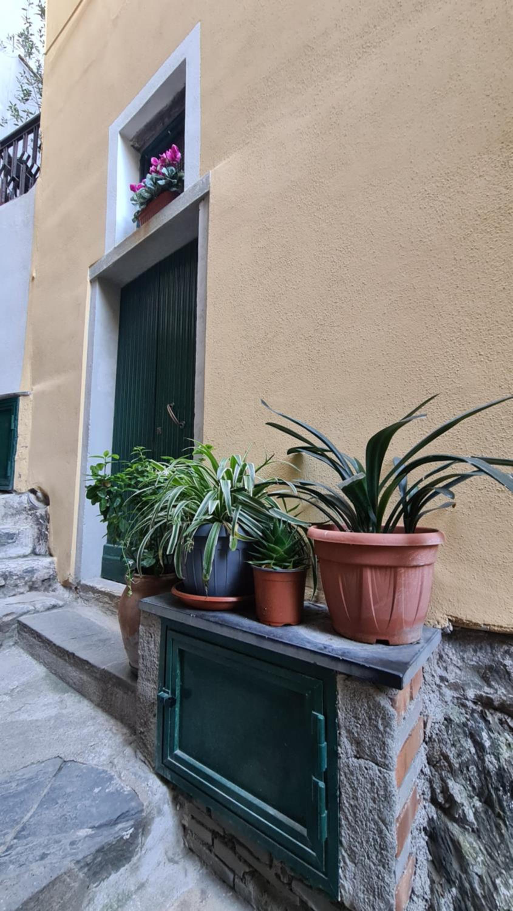 LA CASA DI IA photo 2