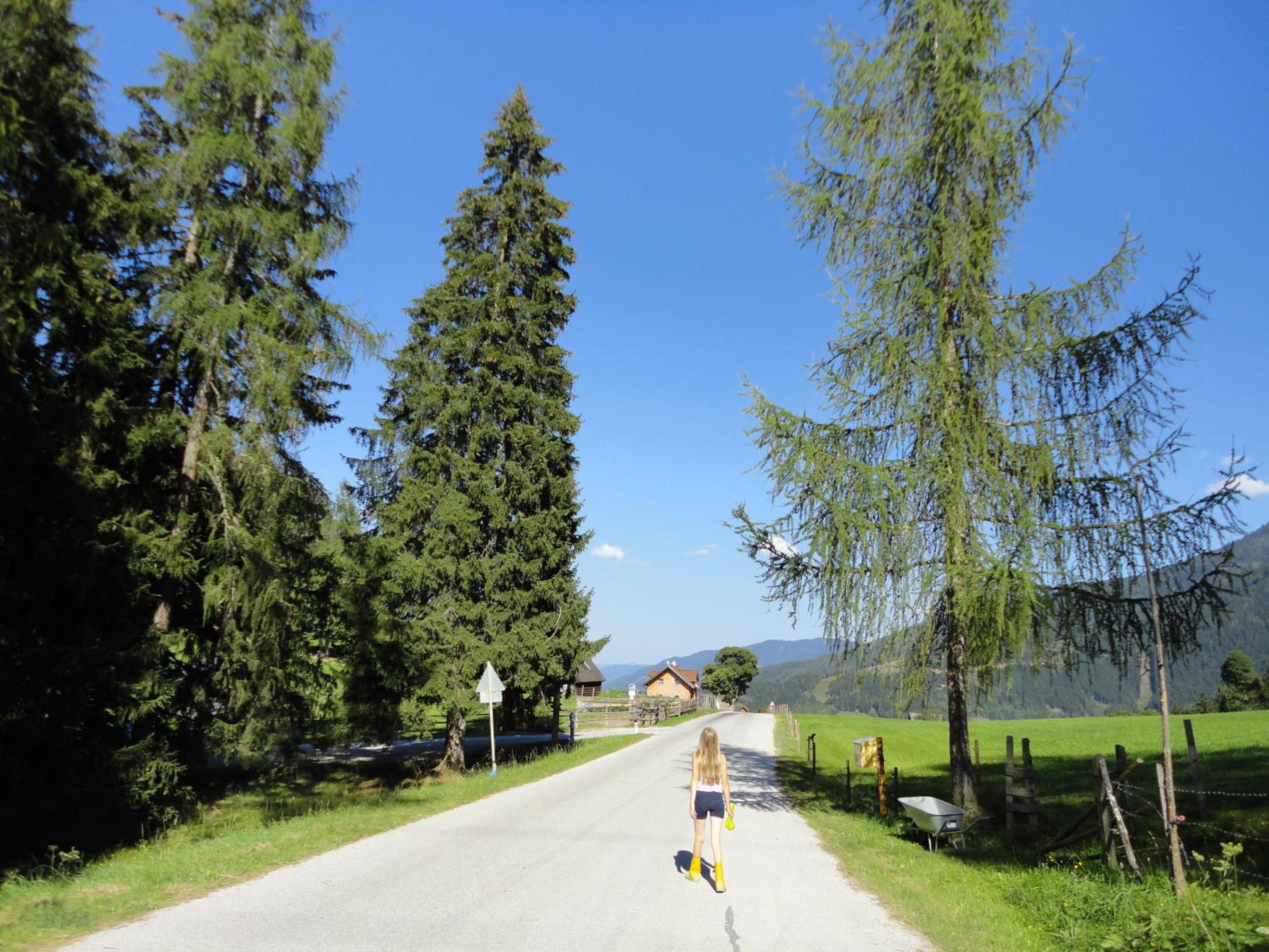 Ferienhaus Bichlhütte