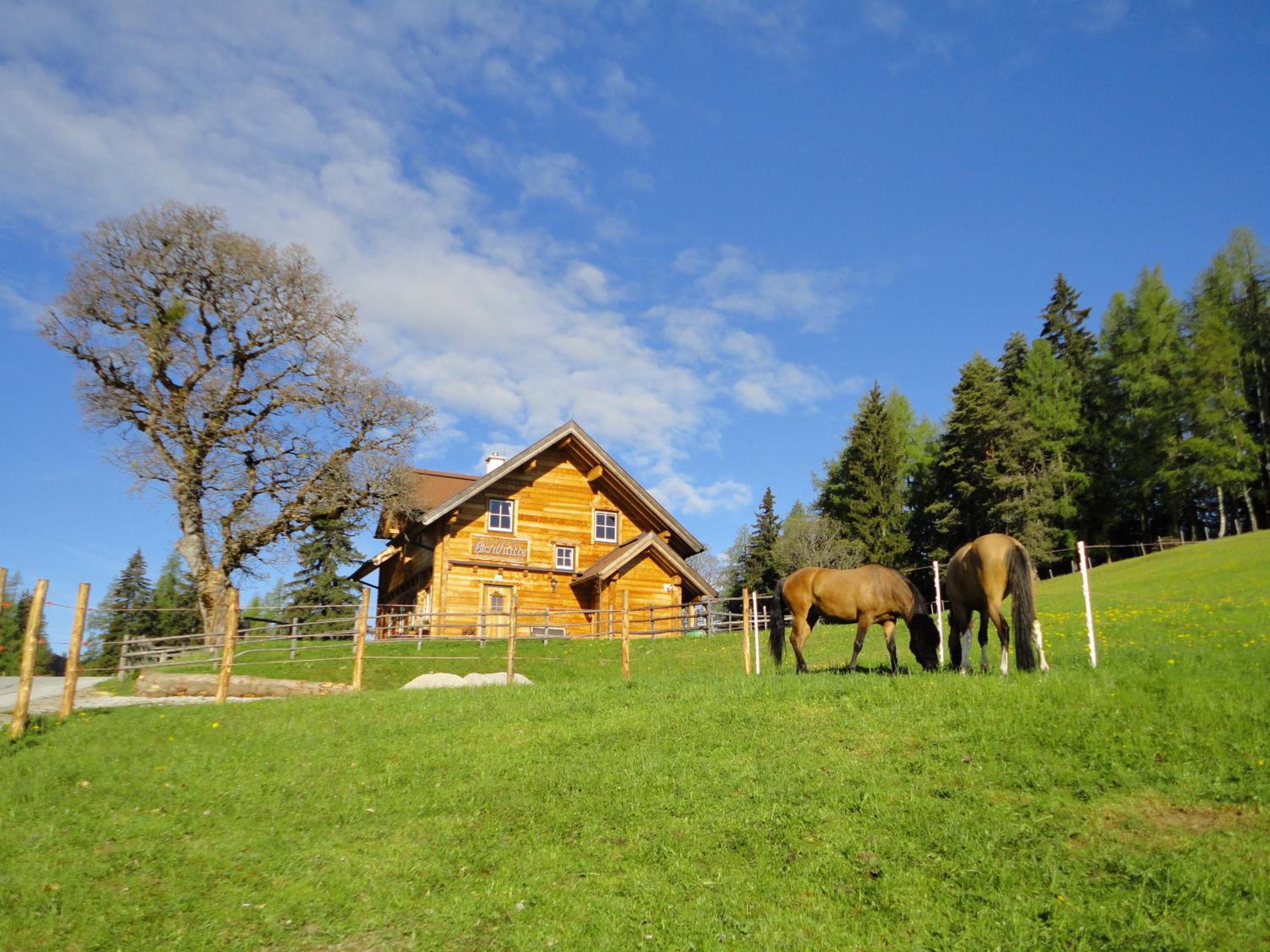 Ferienhaus Bichlhütte