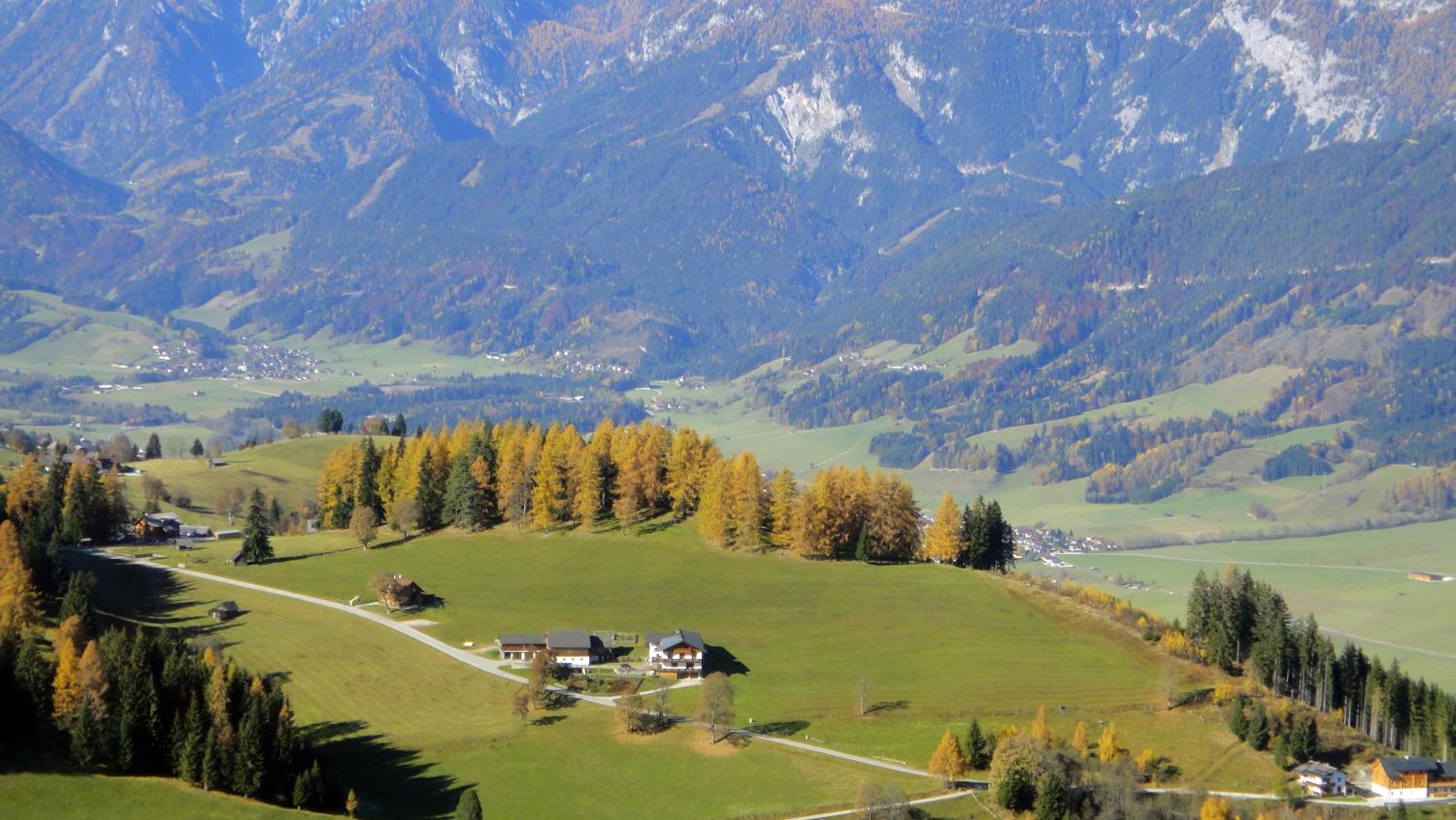 Ferienhaus Bichlhütte