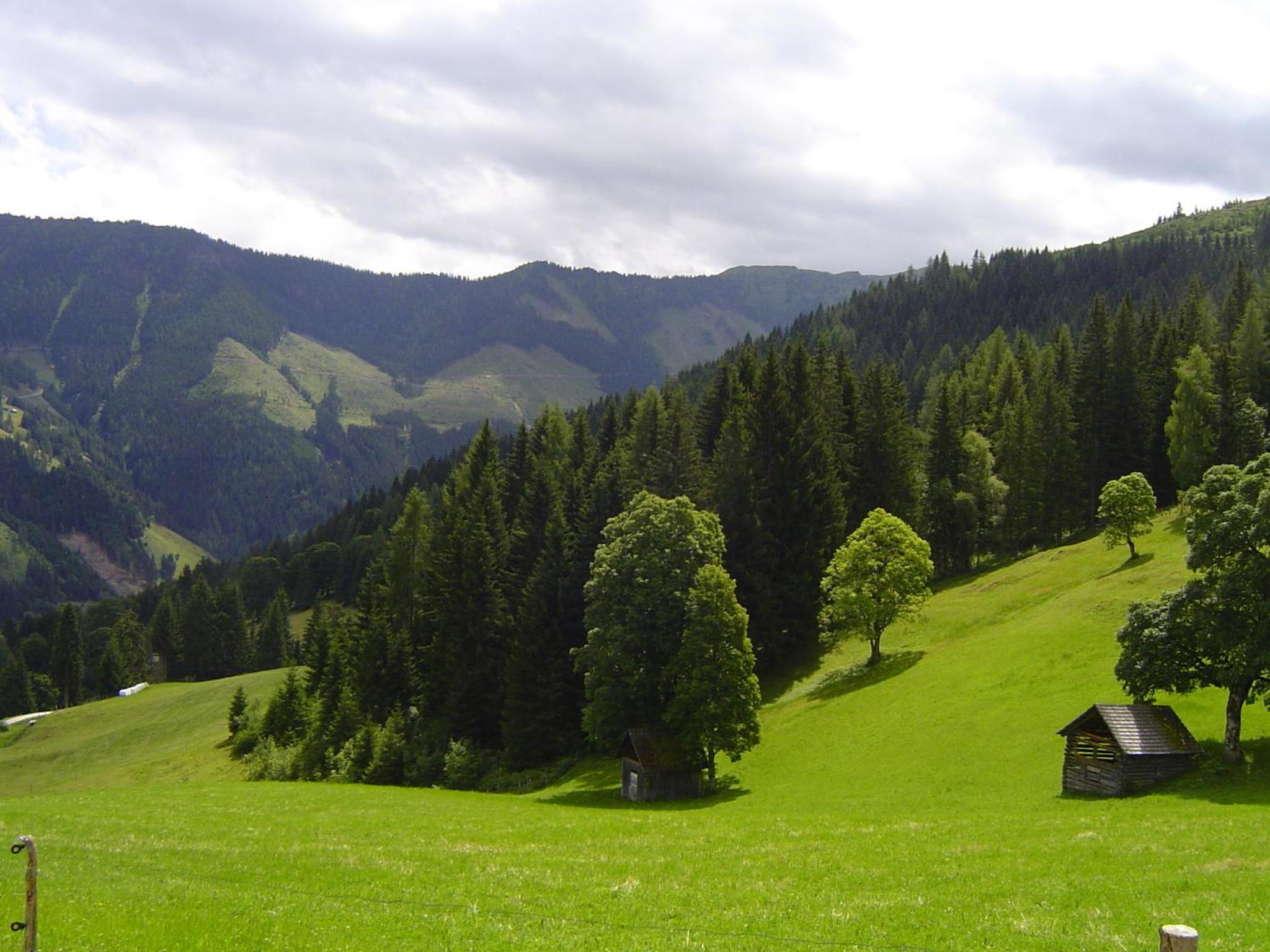 Ferienhaus Bichlhütte