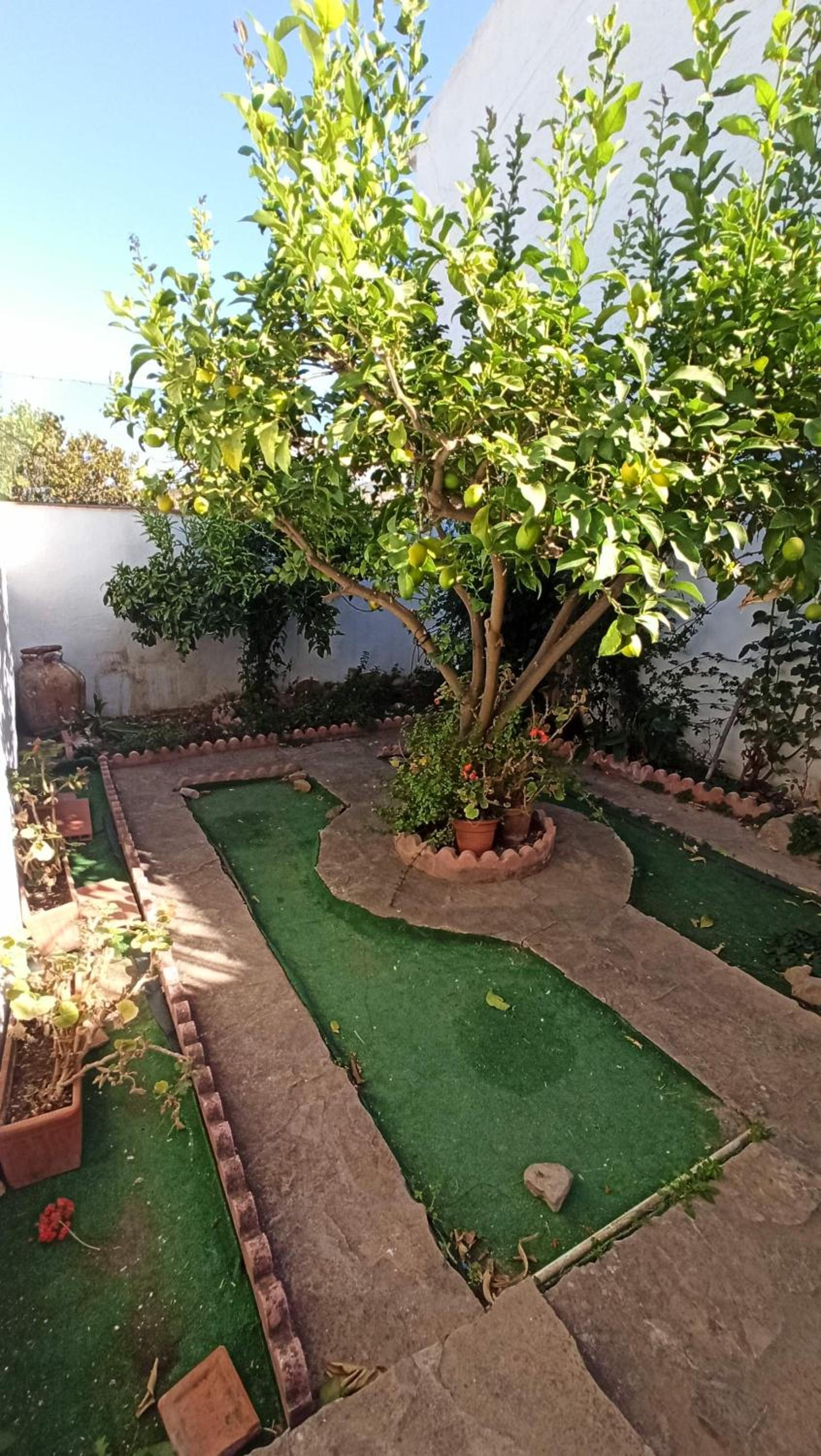Ardales House