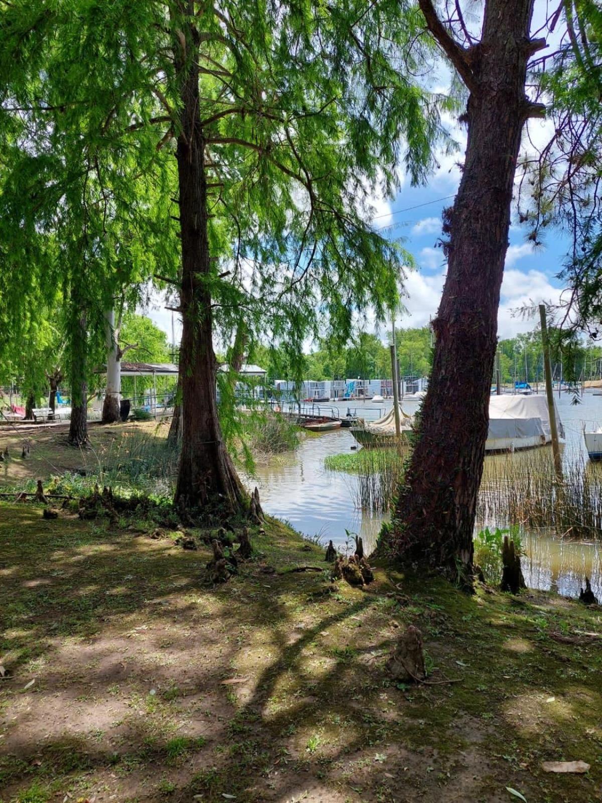 Paraiso Flotante