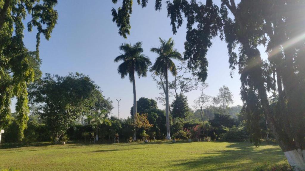 Nahorjan Tea Homestay