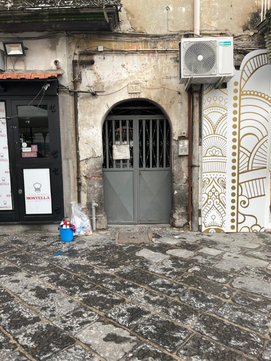 Home carlotta
