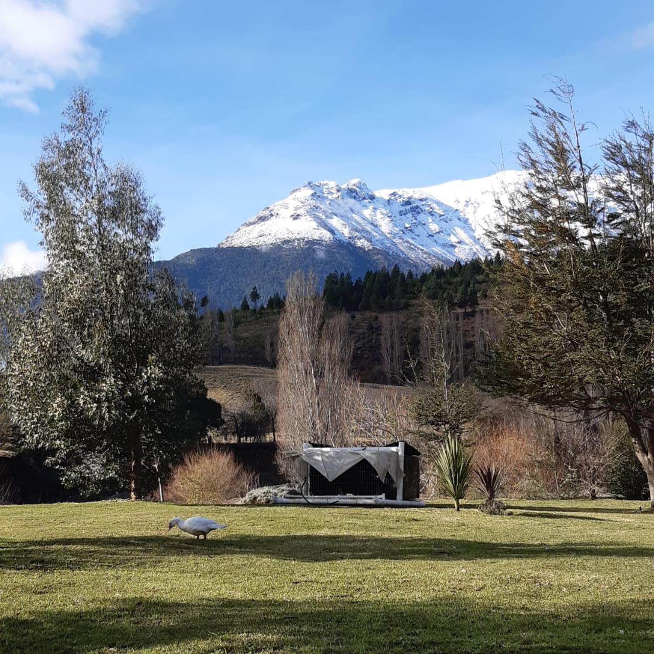 La Maruca