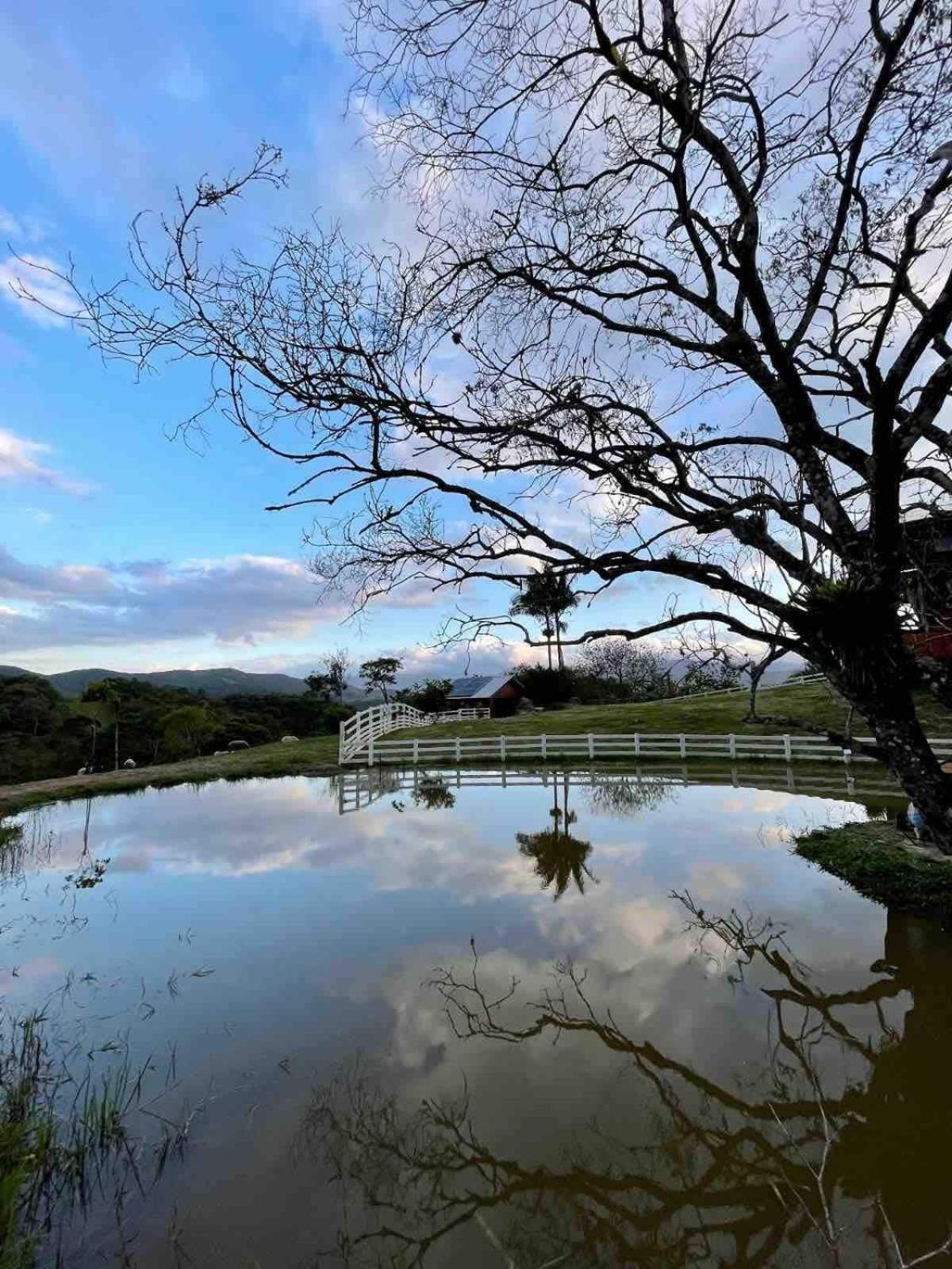 Alameda dos Ipês, casa completa, para toda família
