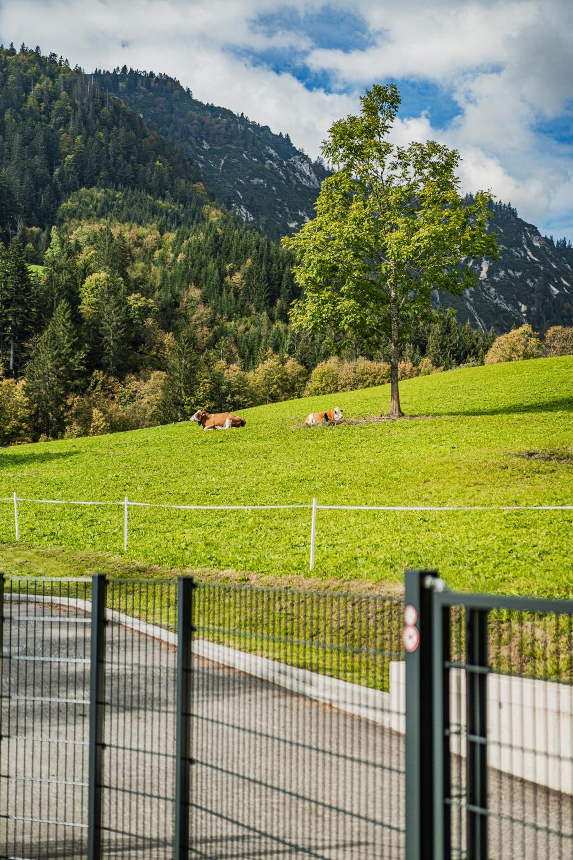 Dachstein West Apartment T3