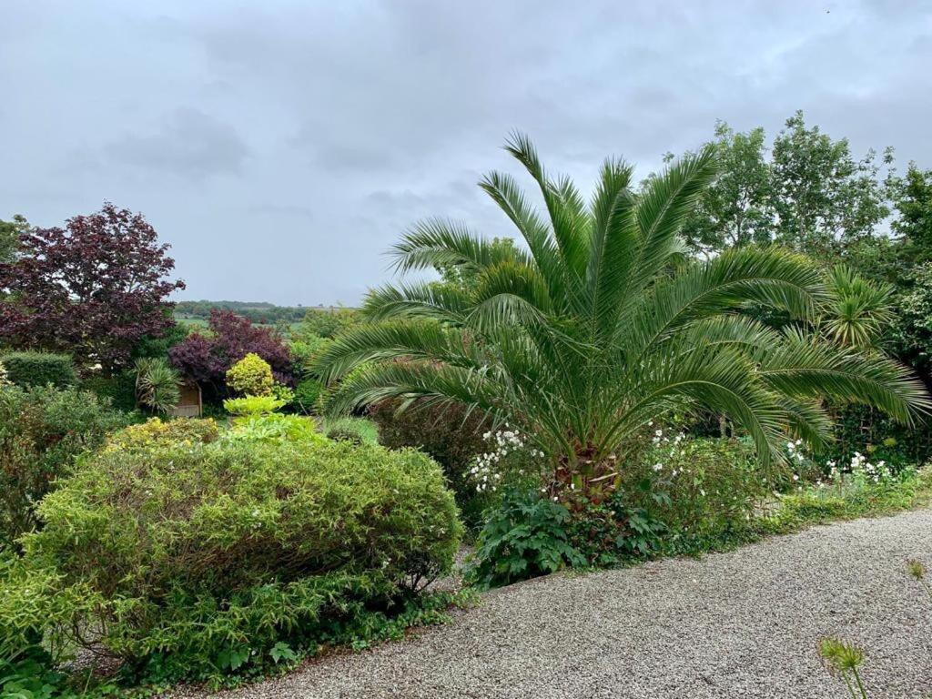 Penquite Holiday Accommodation view 5