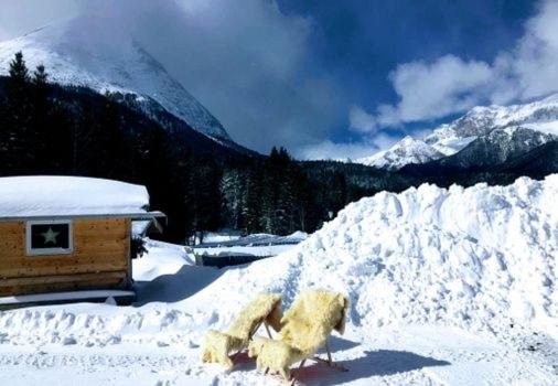 Zottlhof- dein Urlaubszauber auf 1.200m