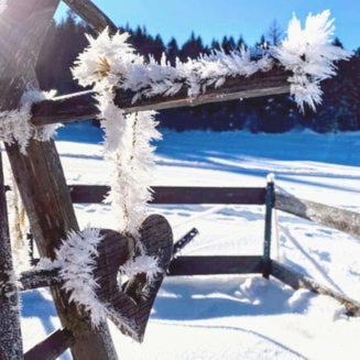 Zottlhof- dein Urlaubszauber auf 1.200m