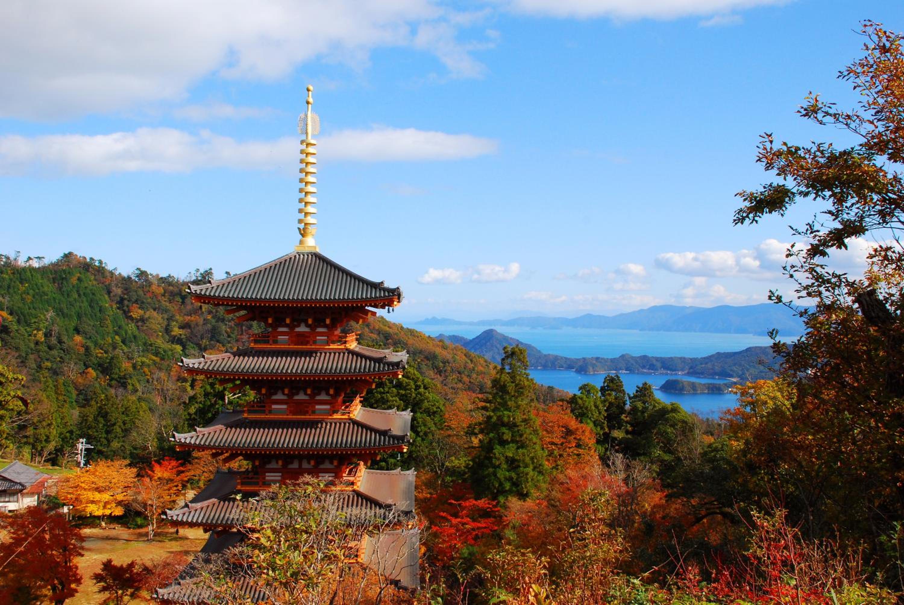Taikyourou