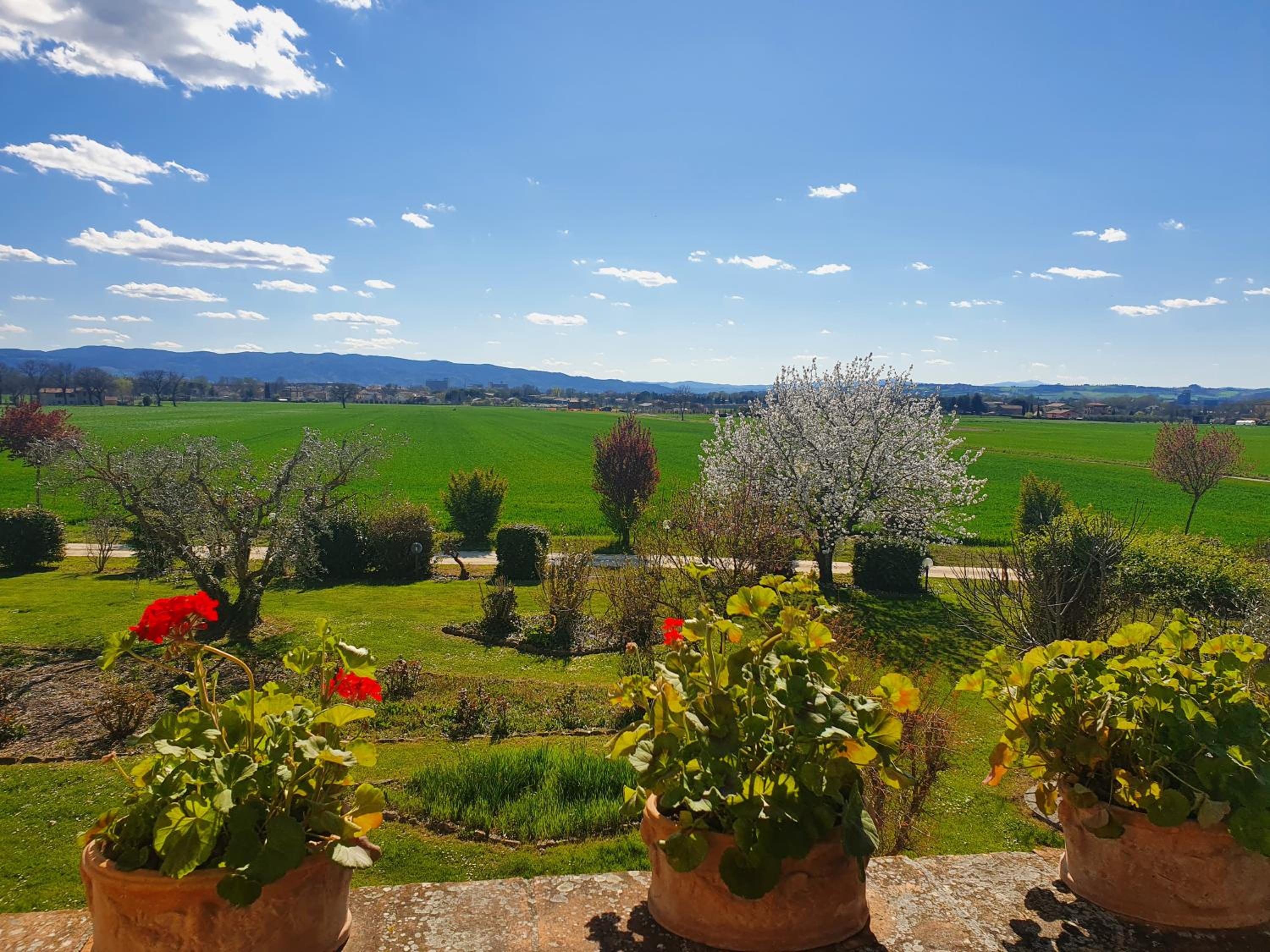 Agriturismo Podere La Fornace view 4