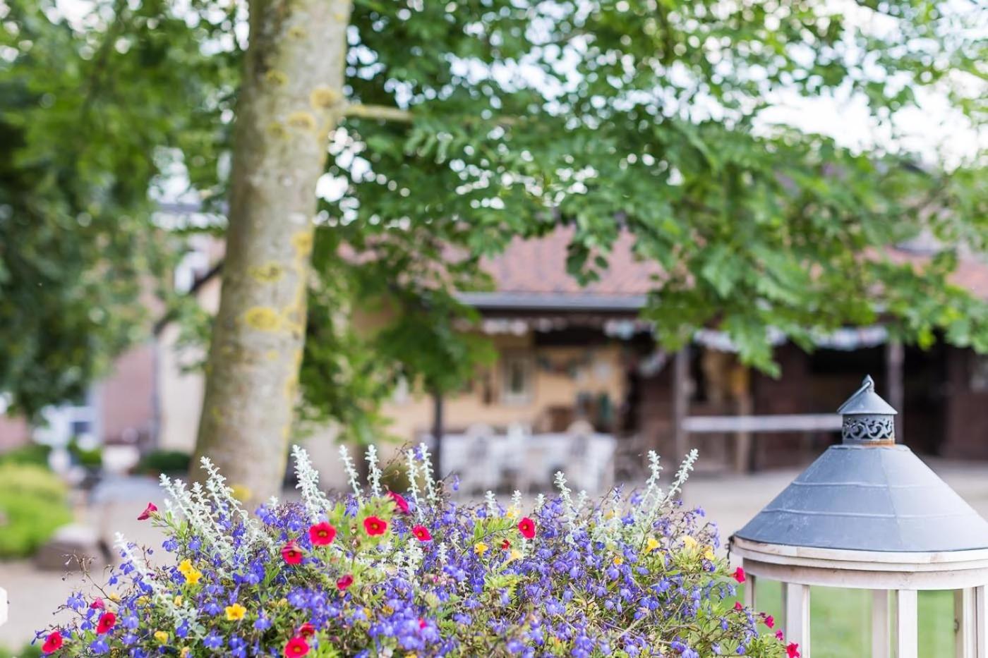 B&B Domaine Villa Bayard