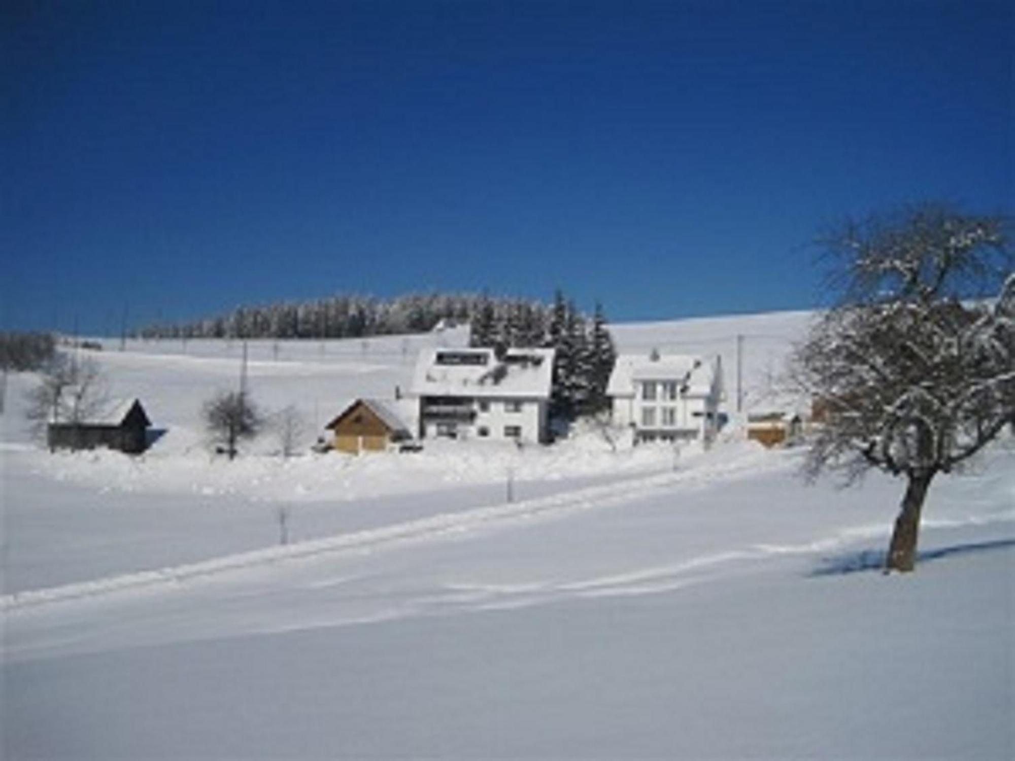 Haus Janßen-Wehrle