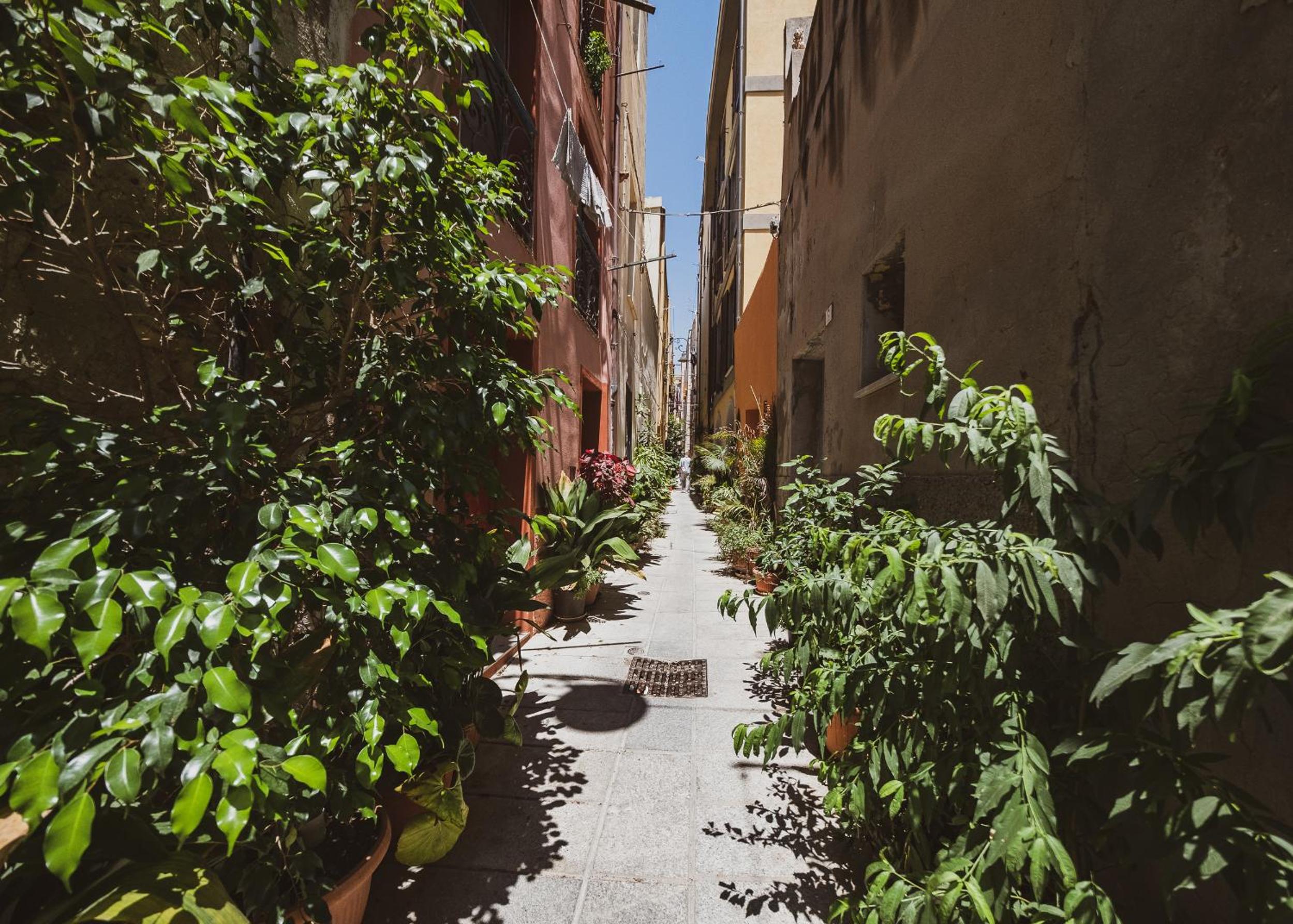 Domus De Gorga - Your Sardinian Apartment view 3