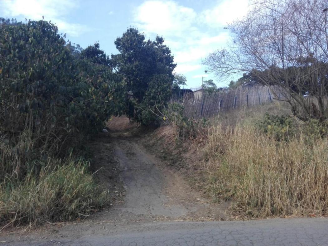 Hospedaje rural - Finca la Aurora - Caqueza