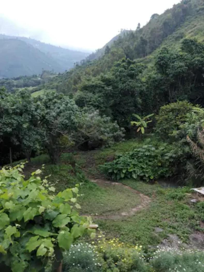 Hospedaje rural - Finca la Aurora - Caqueza