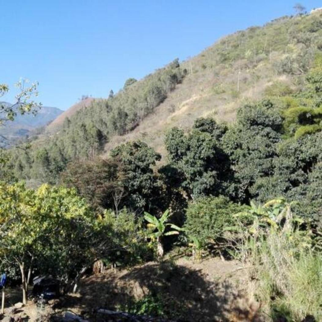 Hospedaje rural - Finca la Aurora - Caqueza