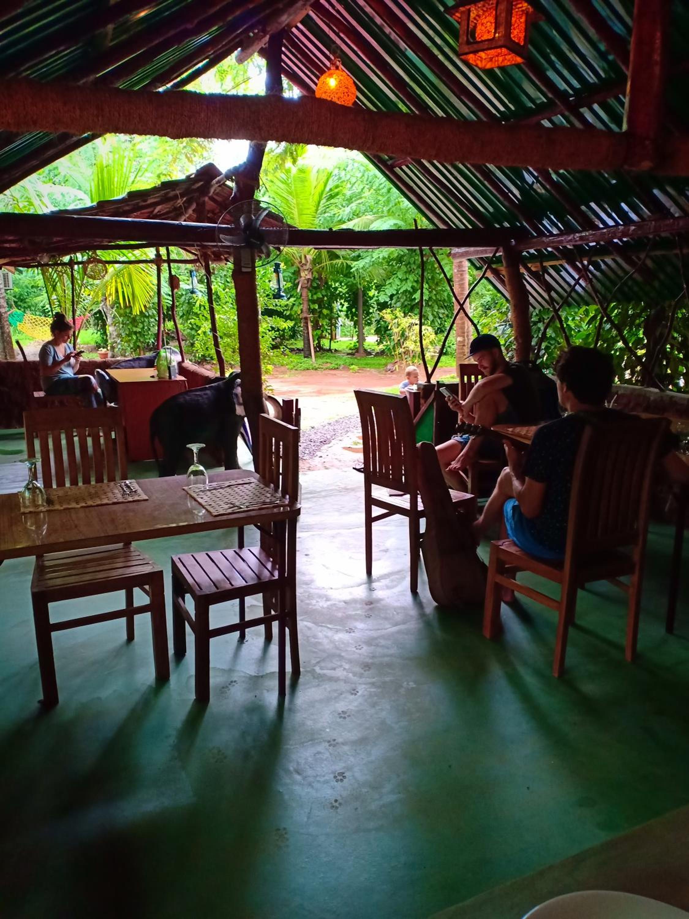 Green View Safari Resort
