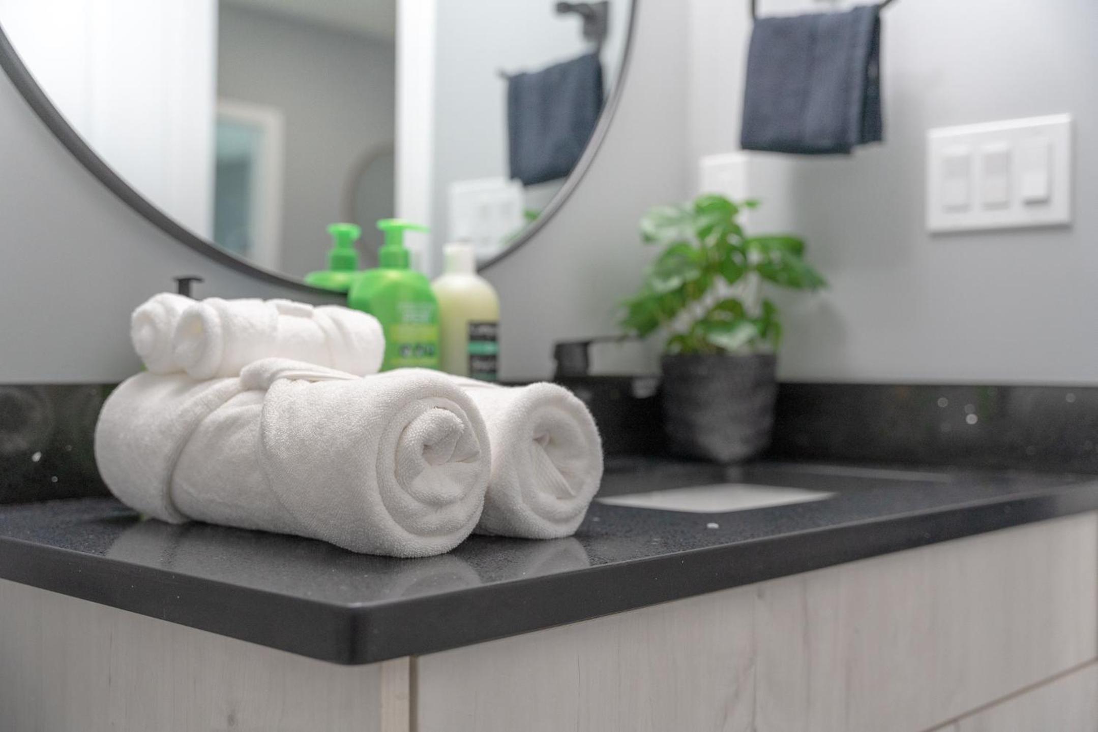 You will love this 2BR Guest Suite in SE Calgary