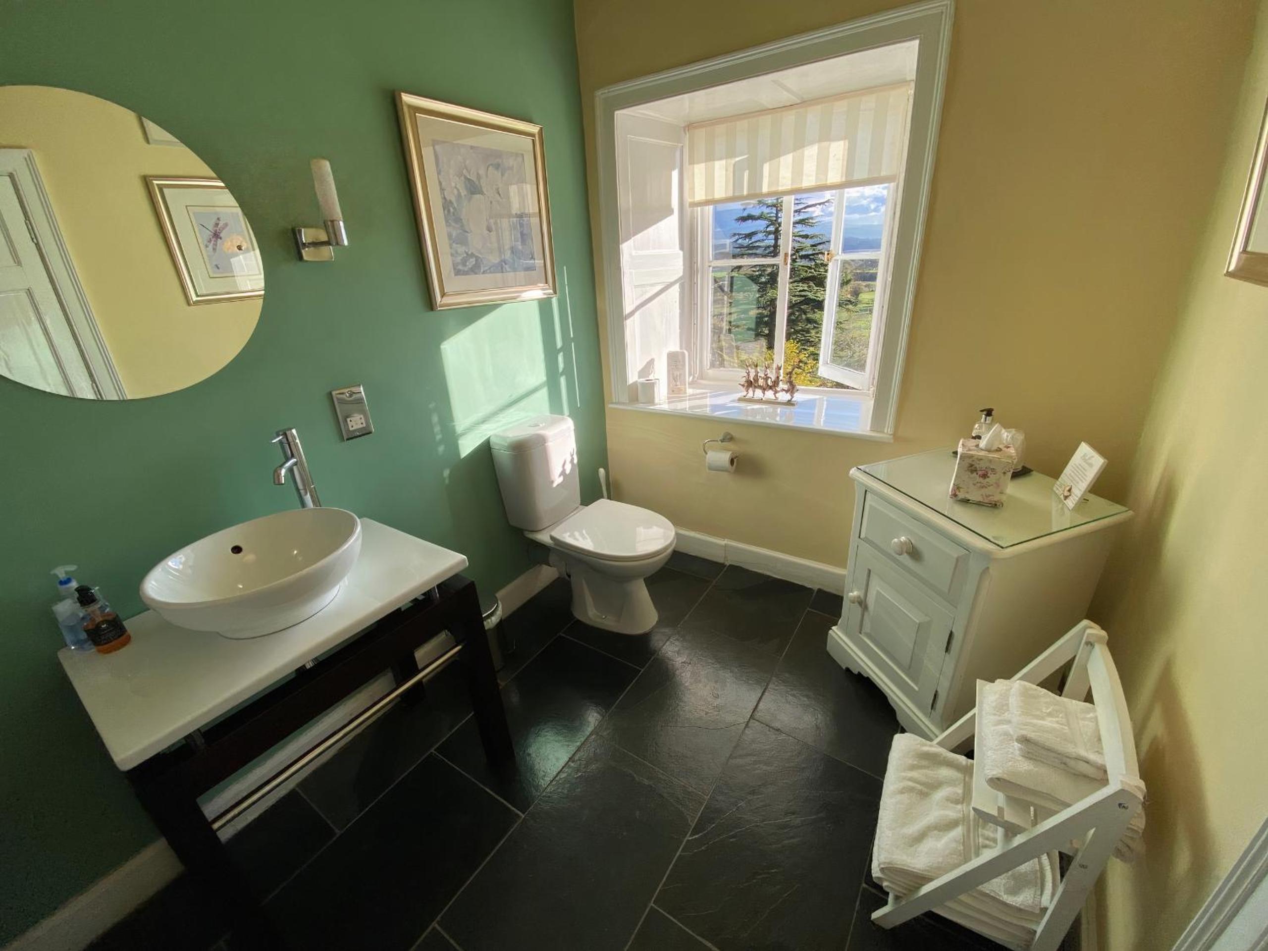 Plas Tan-Yr-Allt Historic Country House B&B