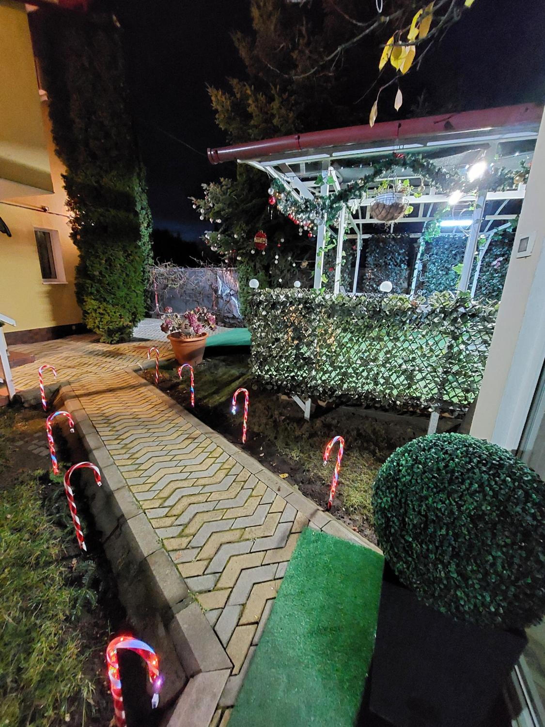 Photo 45
