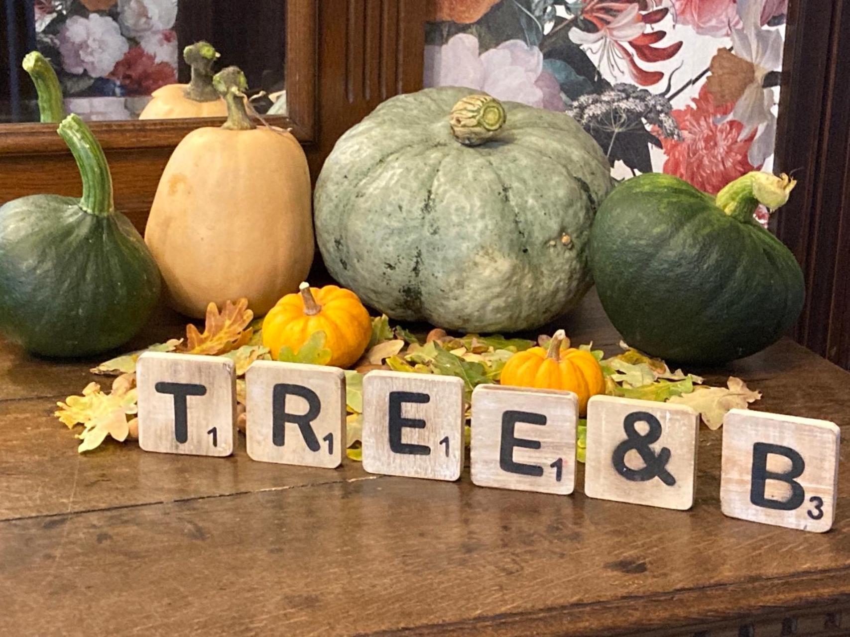 Tree & B