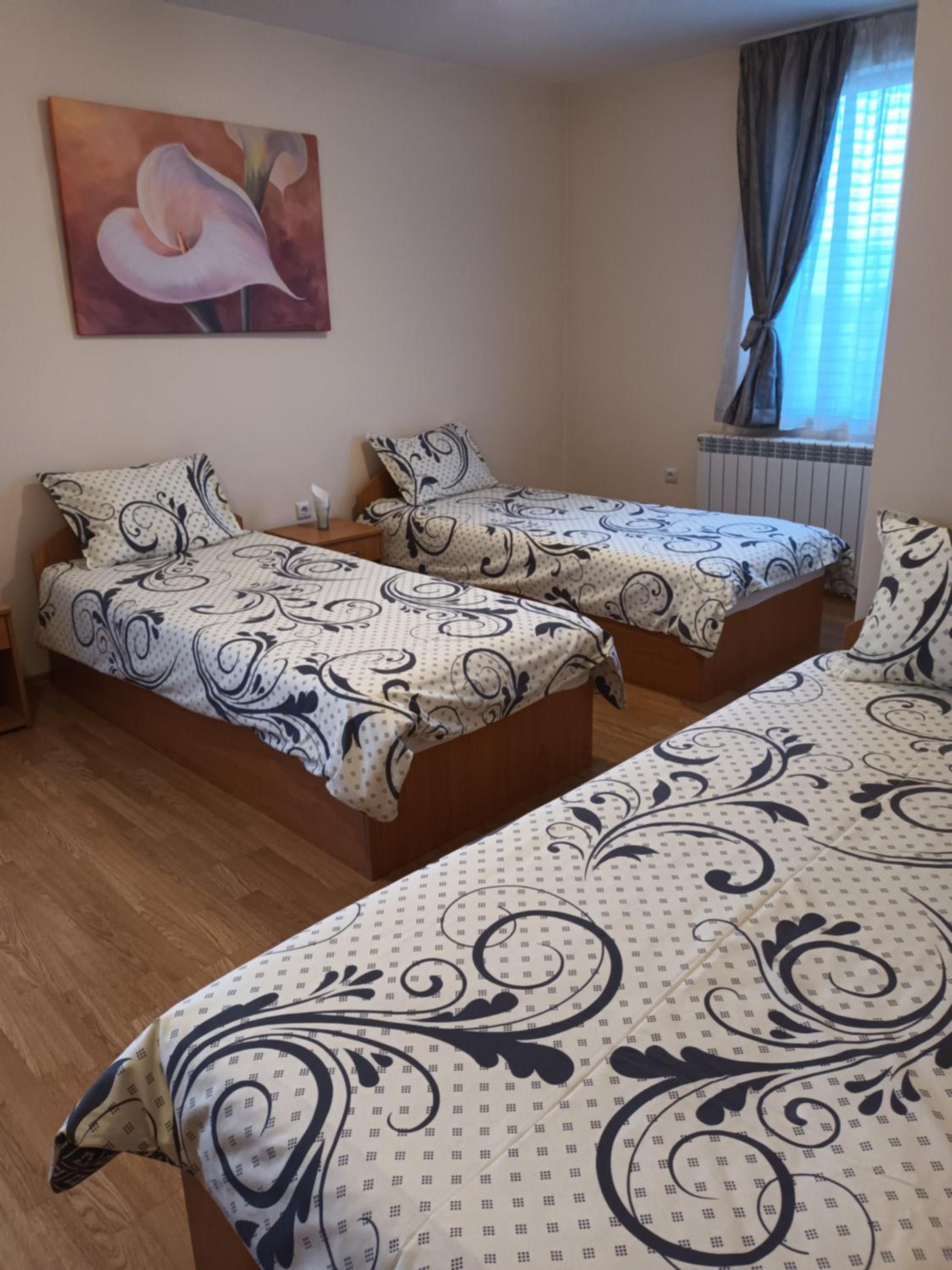 Bansko Vacations - Guest rooms Bansko - Property Image 148