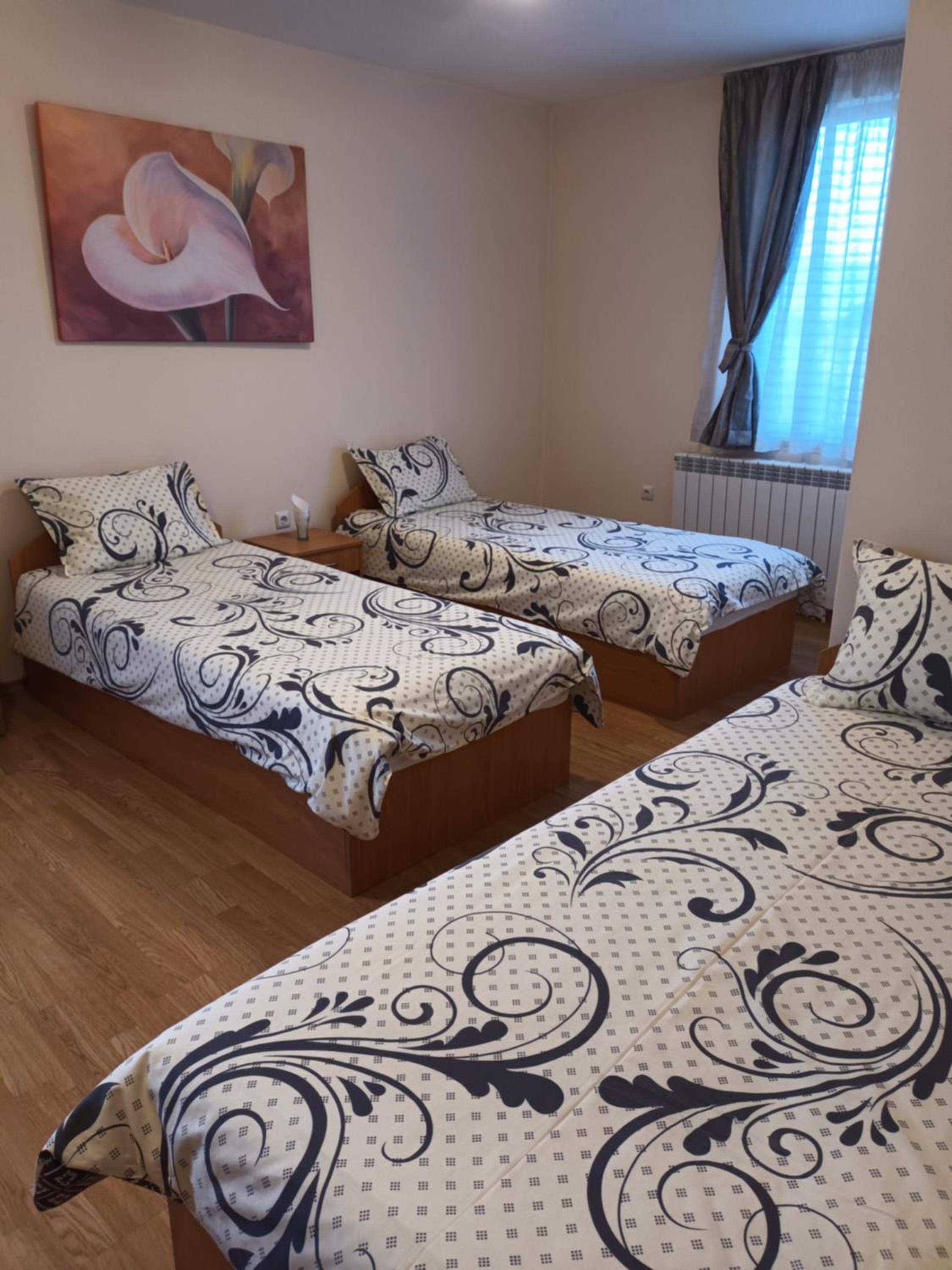 Bansko Vacations - Guest rooms Bansko - Property Image 150