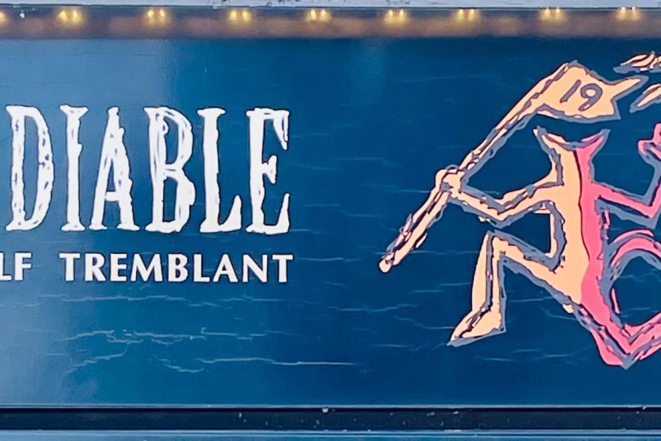 146 Borealis - Close to the Mountains in Mont-Tremblant - Image 2