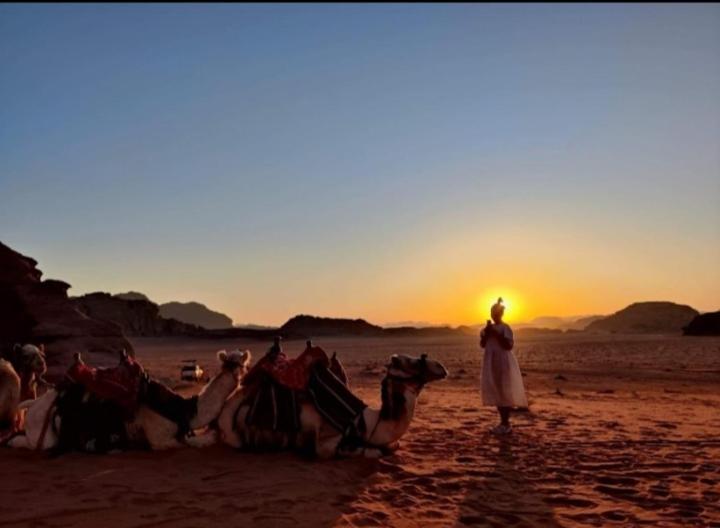 Wadi Rum Meteorite camp
