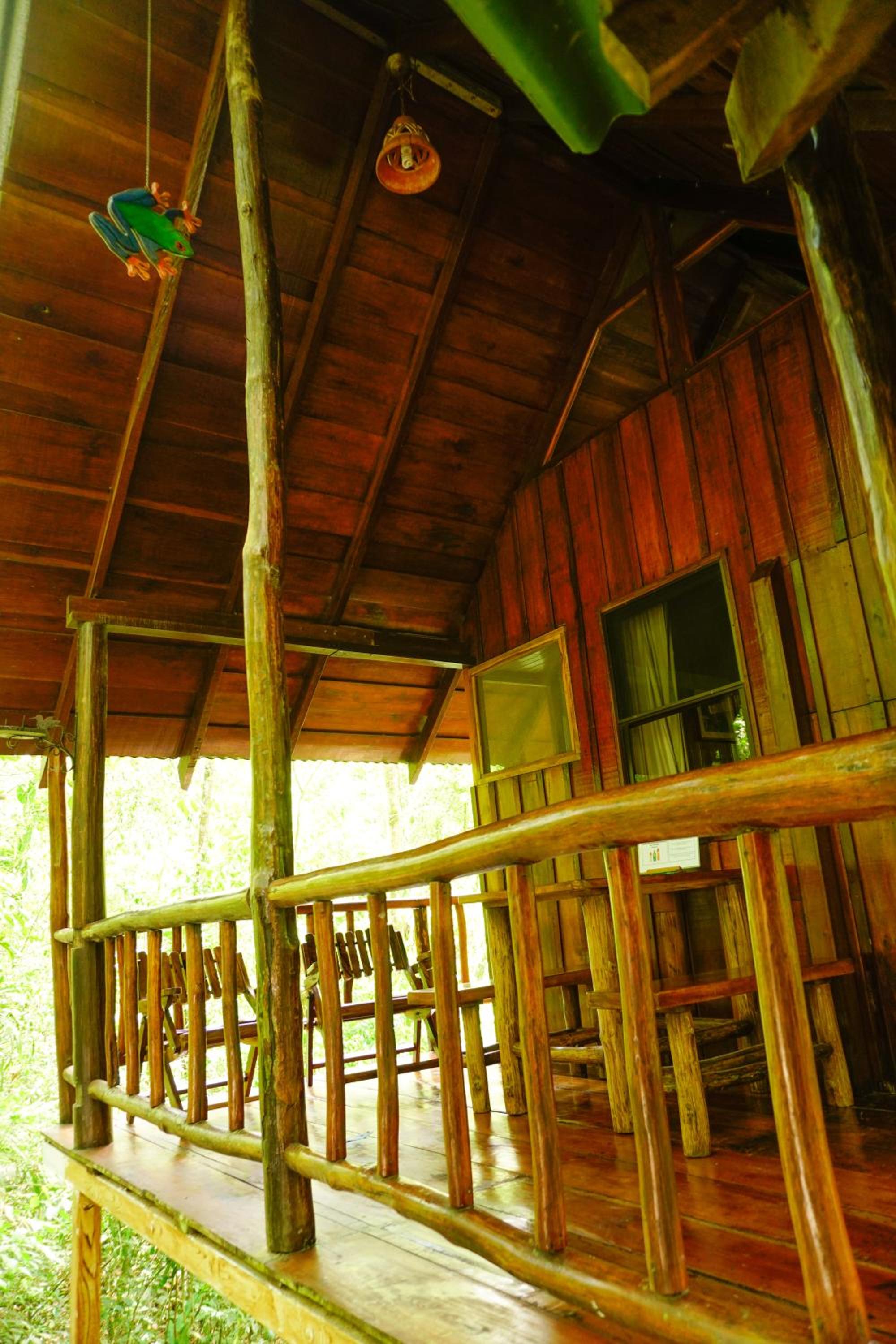Photo 42