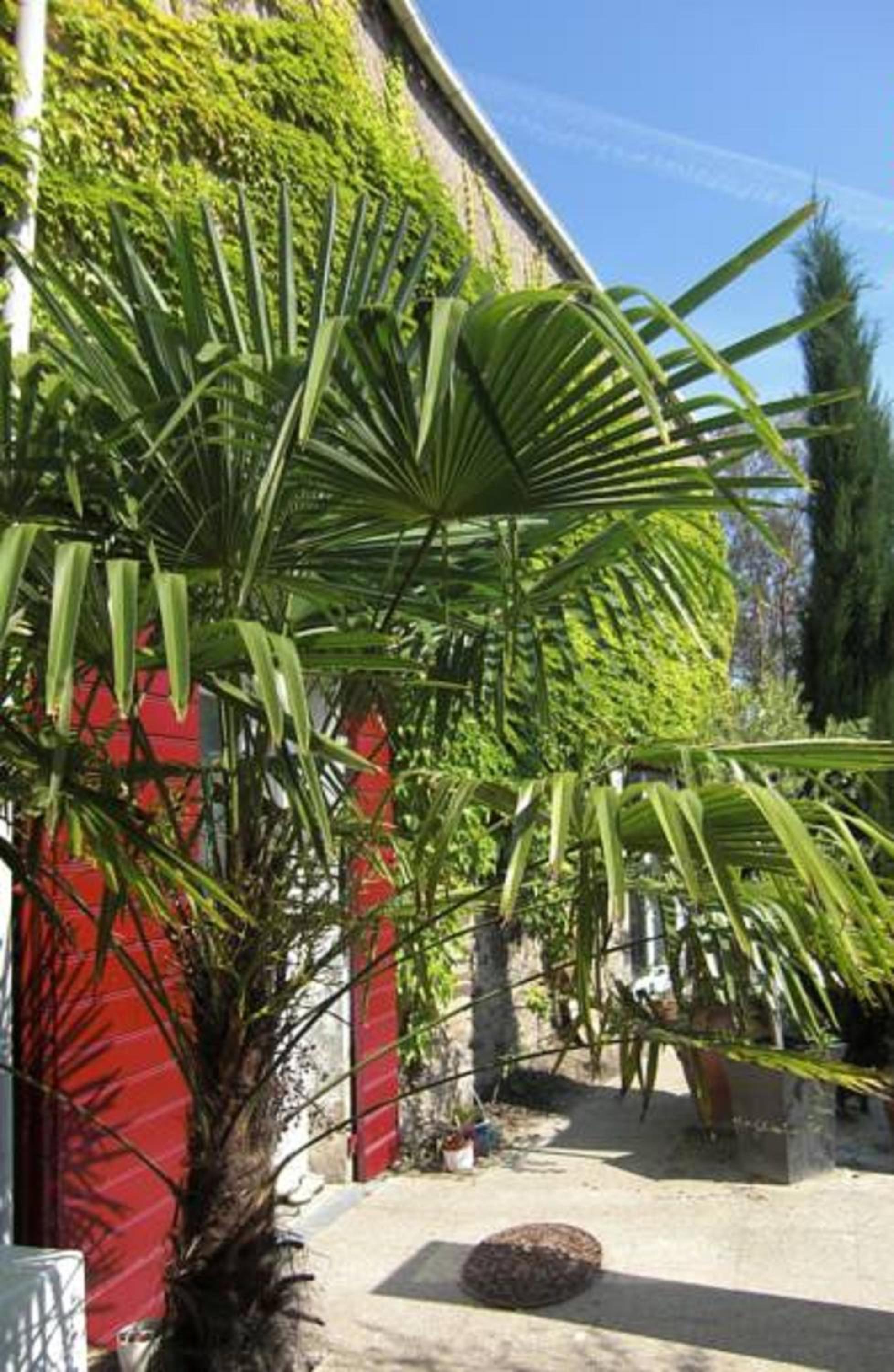 La Mulonniere, photo 17